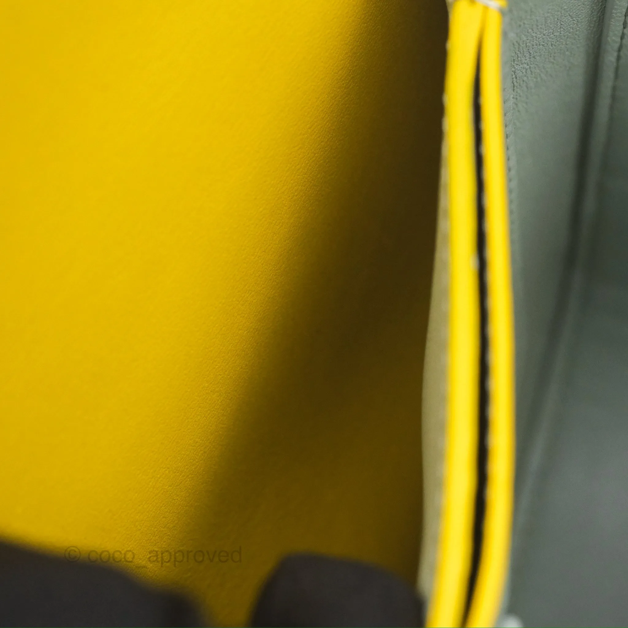 Loewe Small Goya Bag Yellow Silk Calfskin