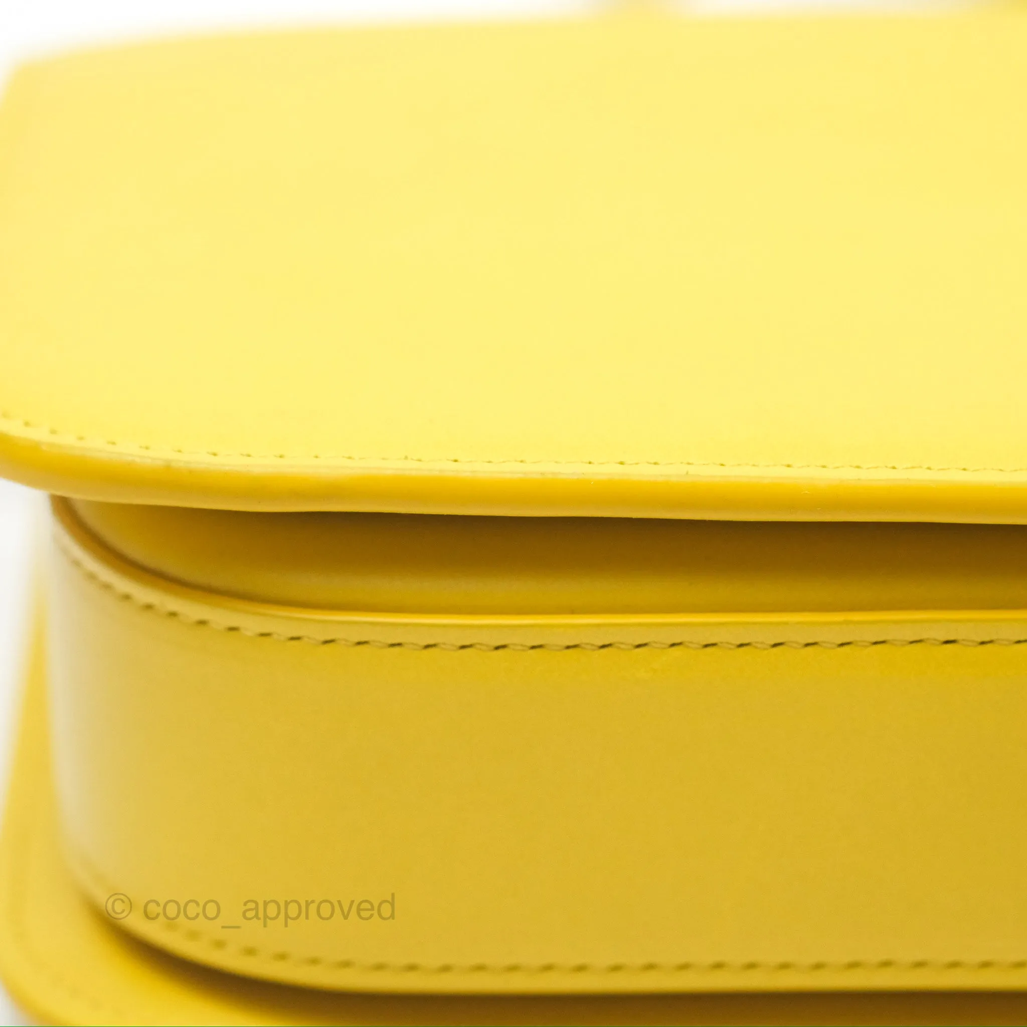 Loewe Small Goya Bag Yellow Silk Calfskin