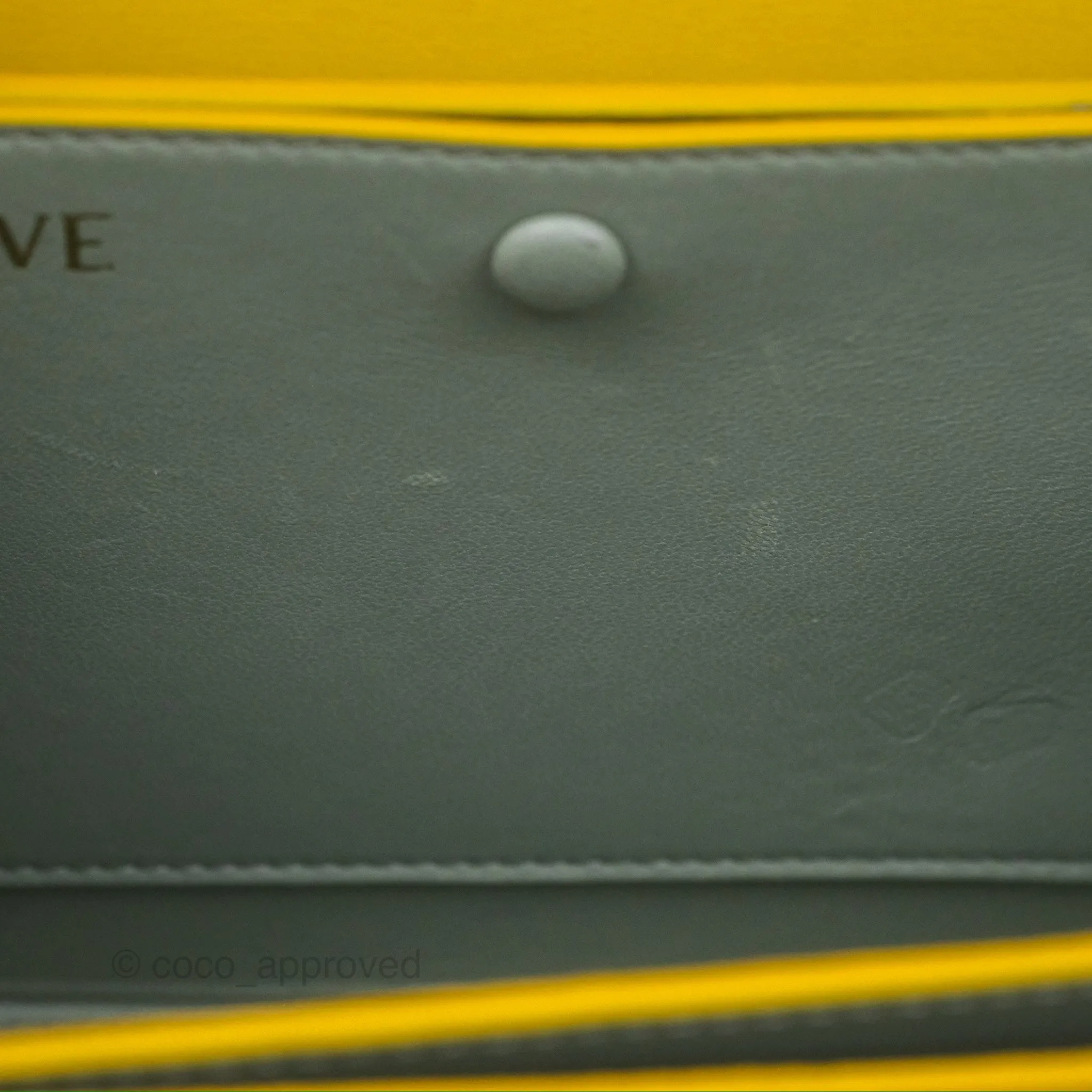 Loewe Small Goya Bag Yellow Silk Calfskin