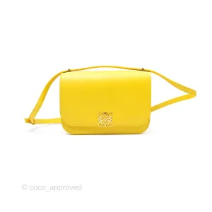 Loewe Small Goya Bag Yellow Silk Calfskin