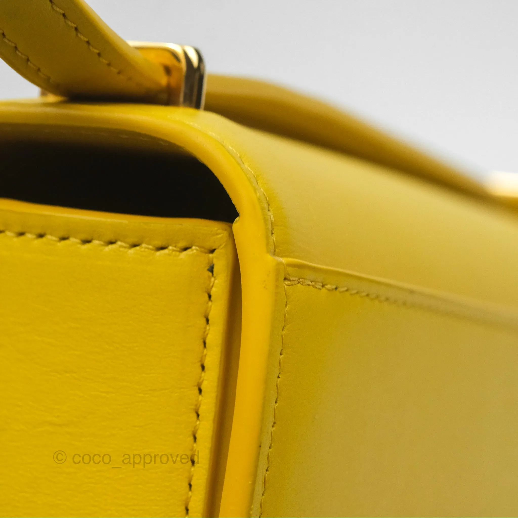 Loewe Small Goya Bag Yellow Silk Calfskin