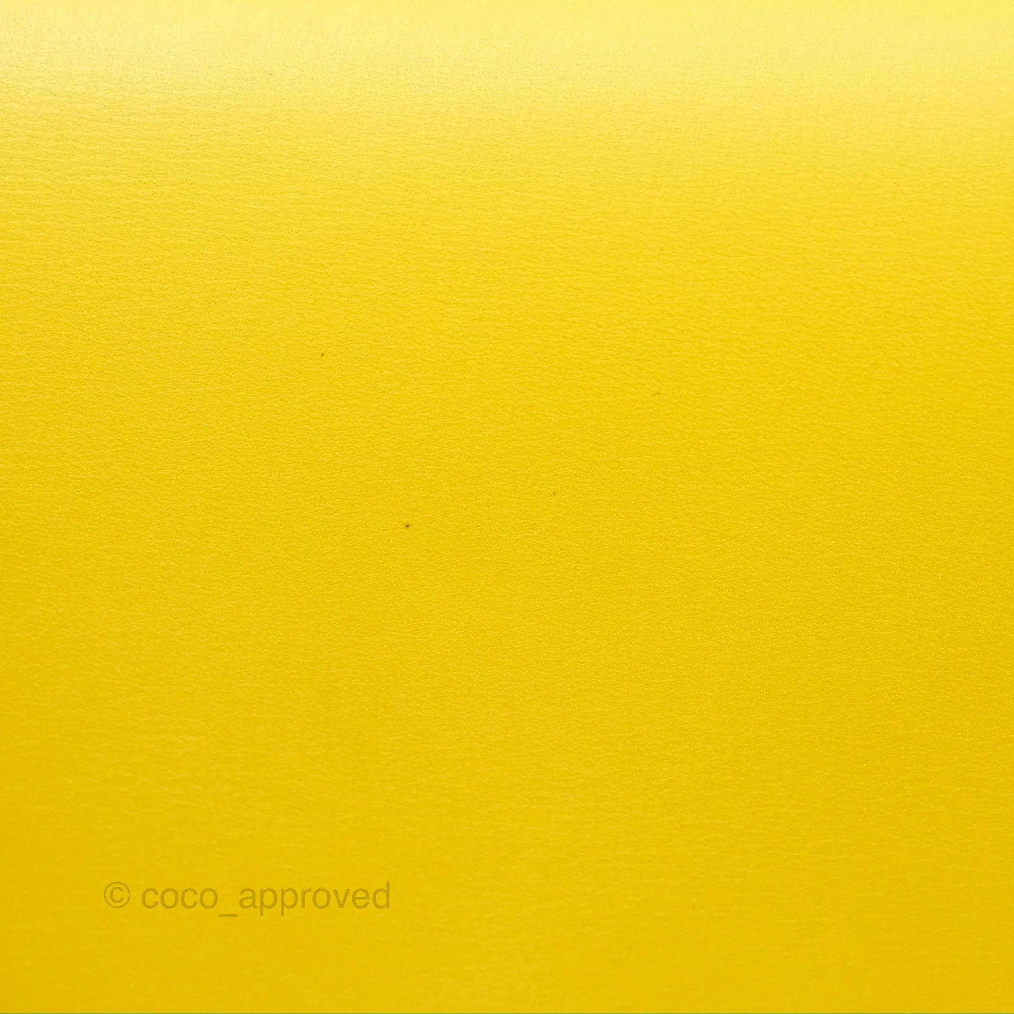 Loewe Small Goya Bag Yellow Silk Calfskin