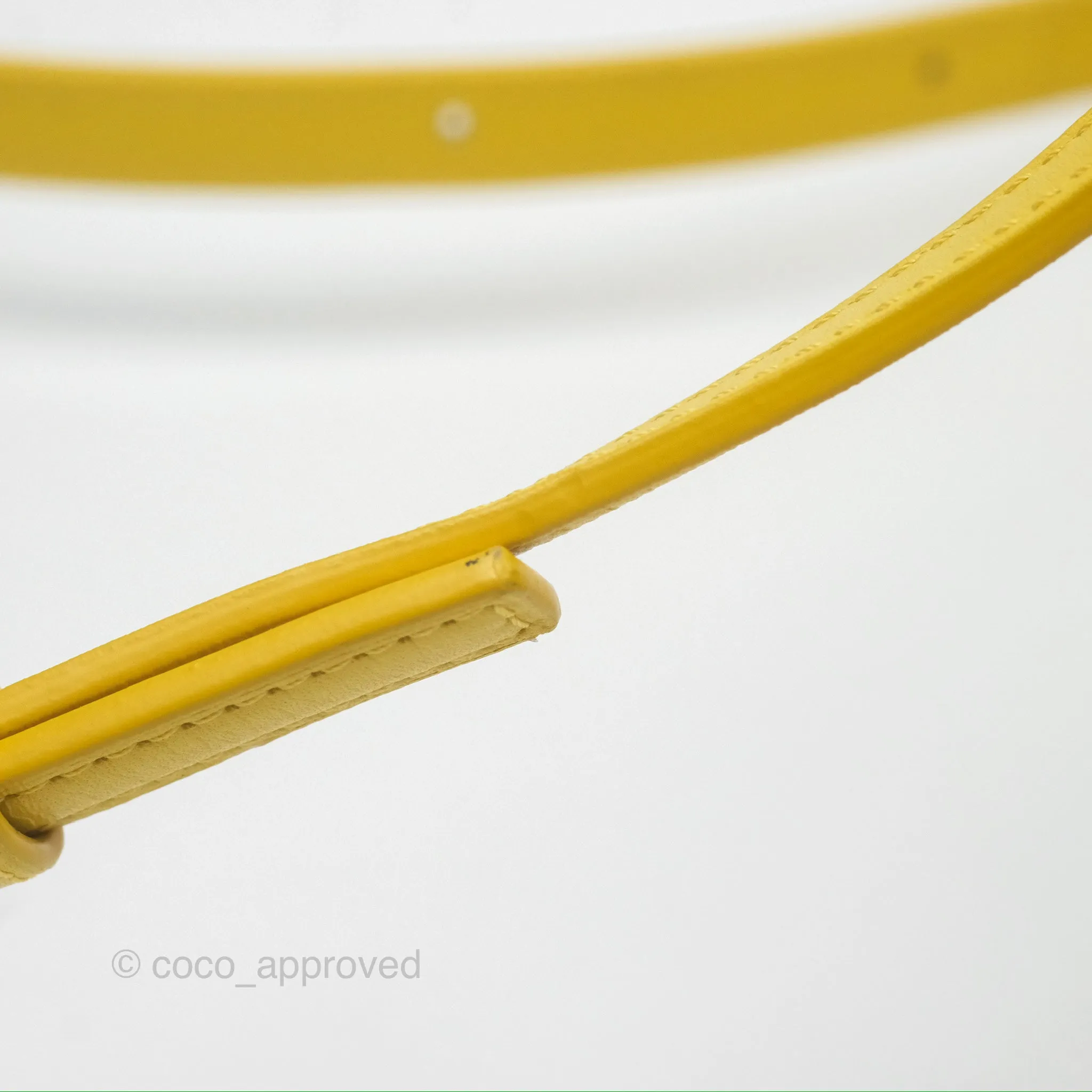 Loewe Small Goya Bag Yellow Silk Calfskin