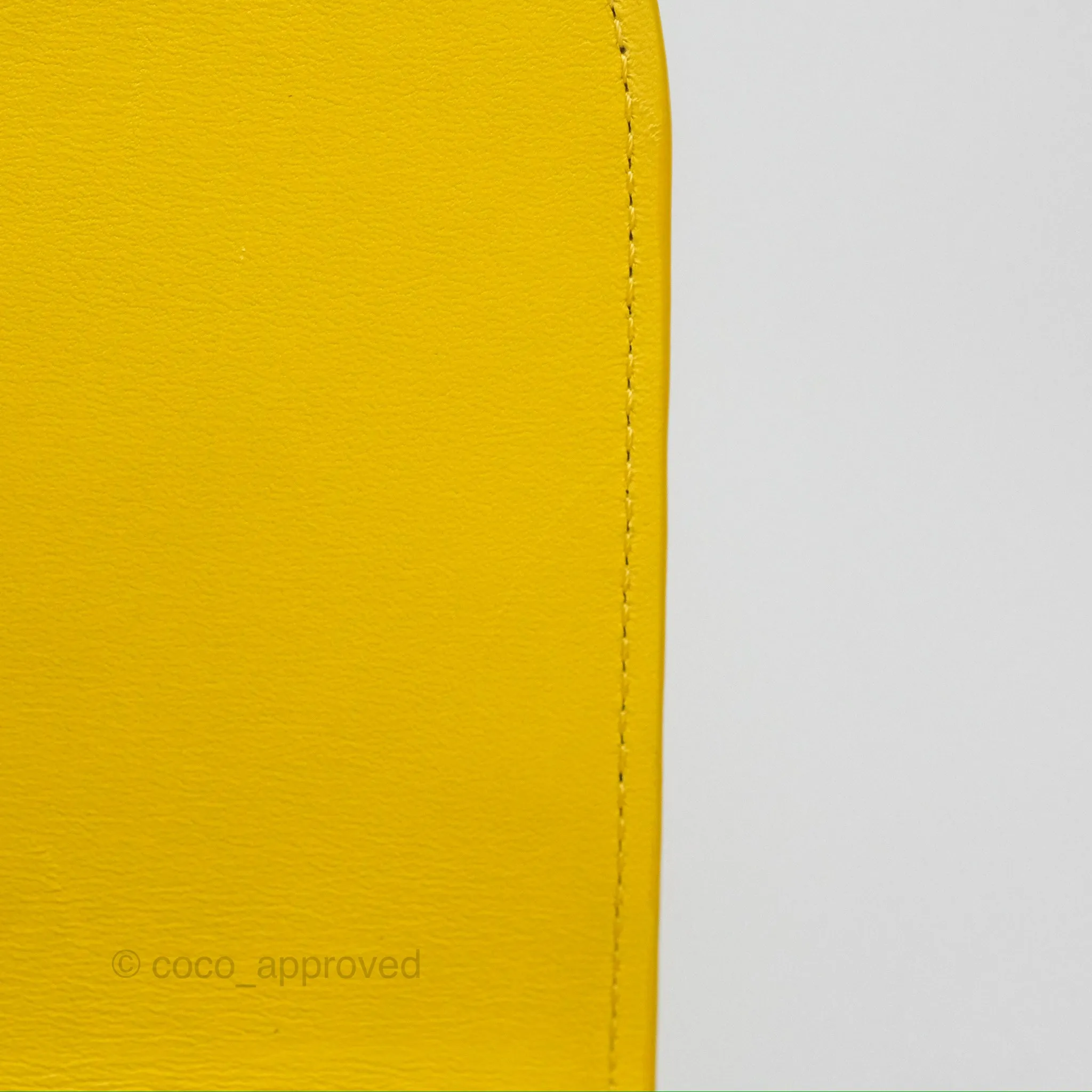 Loewe Small Goya Bag Yellow Silk Calfskin