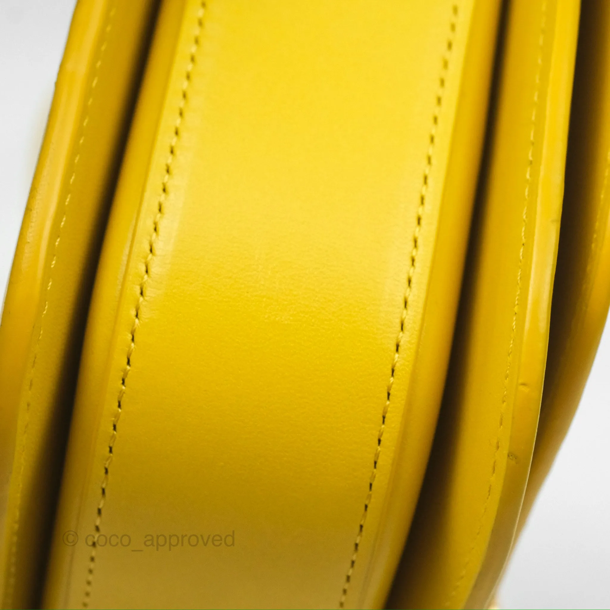 Loewe Small Goya Bag Yellow Silk Calfskin