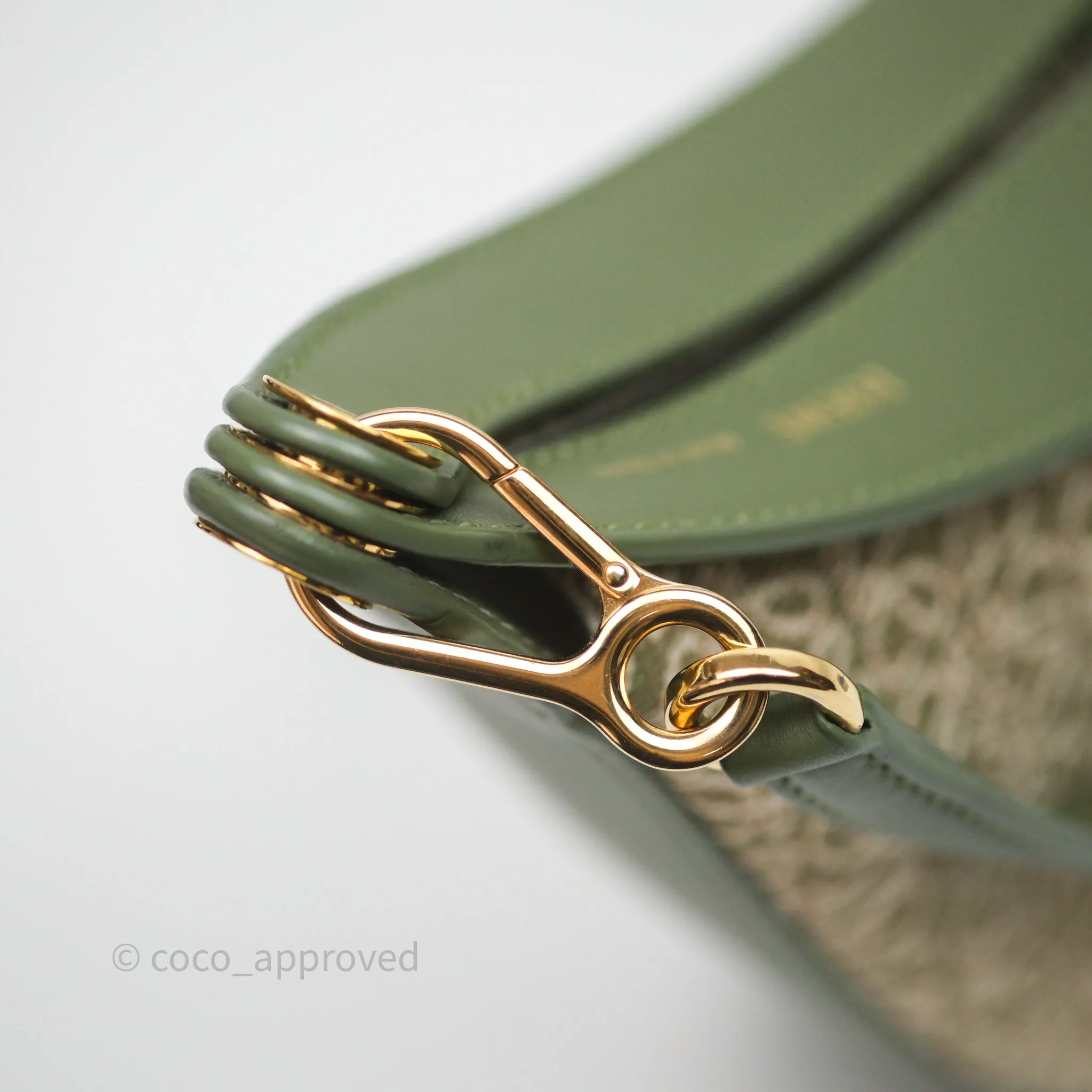 Loewe Small Luna Anagram Shoulder Bag Green Calfskin Jacquard