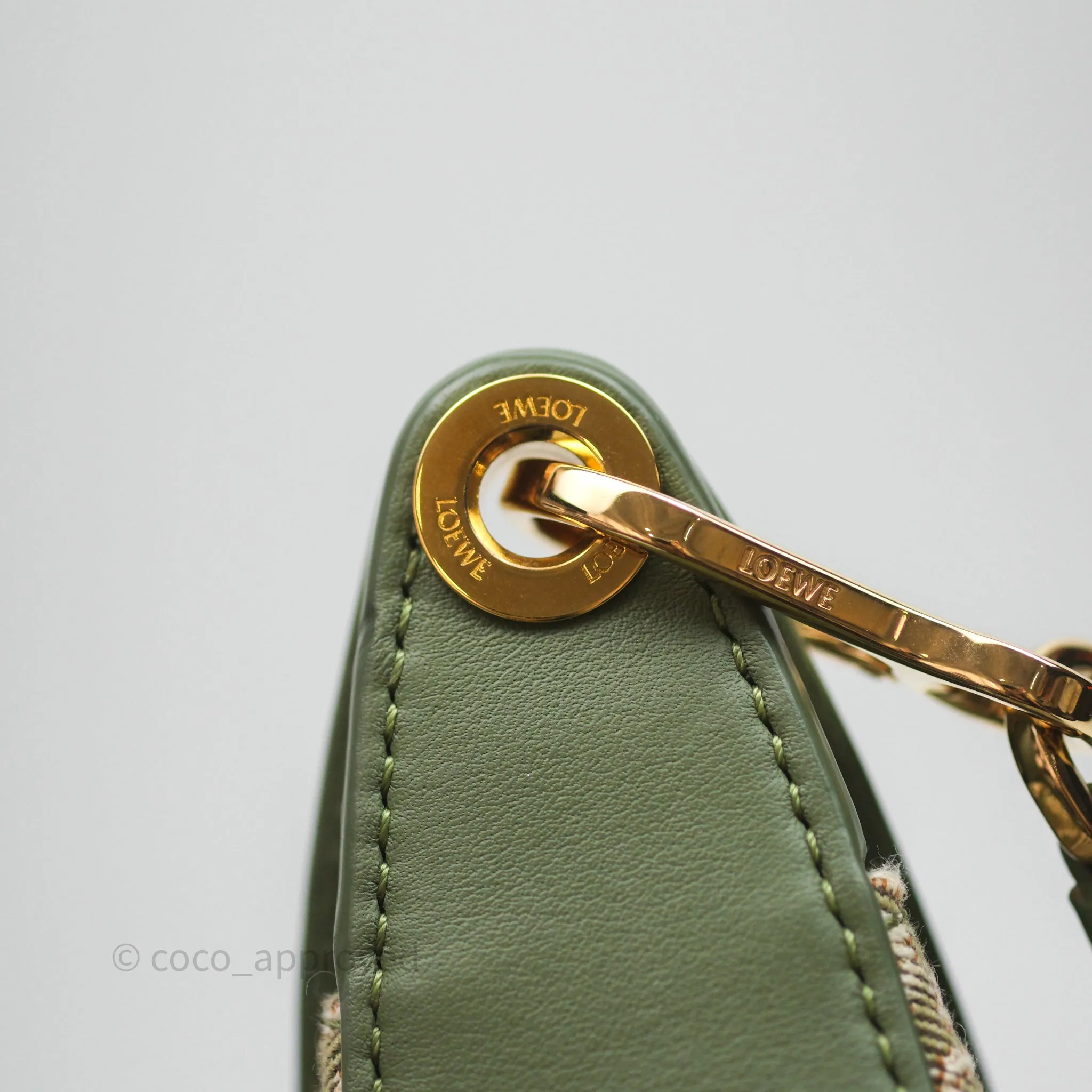 Loewe Small Luna Anagram Shoulder Bag Green Calfskin Jacquard