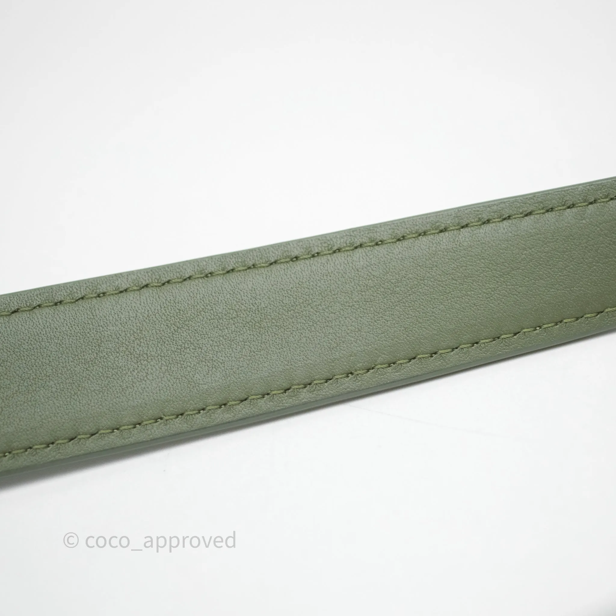 Loewe Small Luna Anagram Shoulder Bag Green Calfskin Jacquard