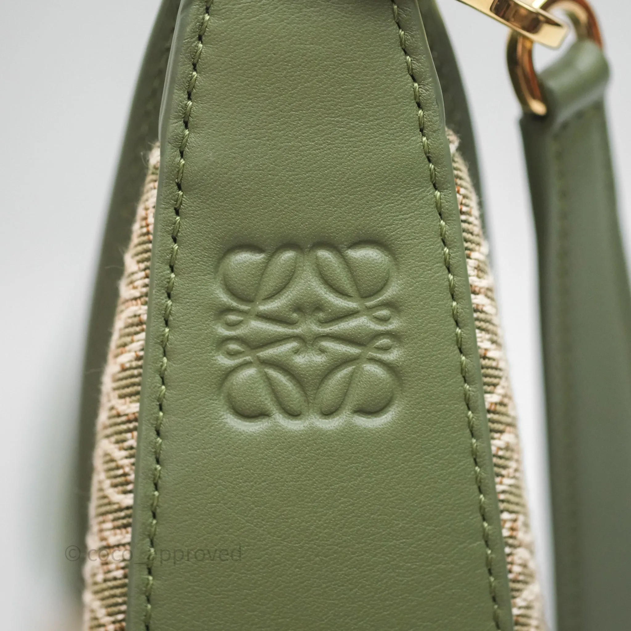 Loewe Small Luna Anagram Shoulder Bag Green Calfskin Jacquard
