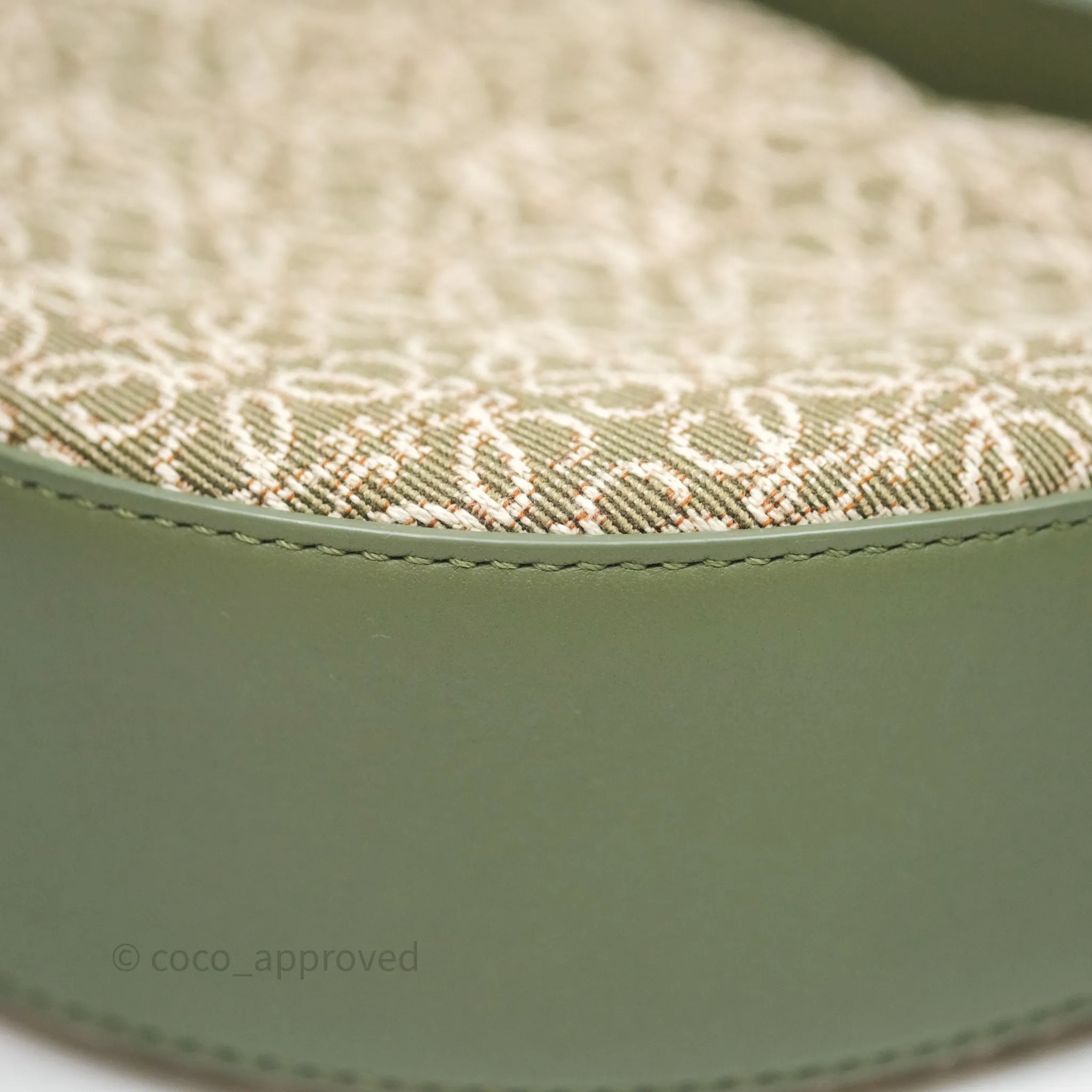 Loewe Small Luna Anagram Shoulder Bag Green Calfskin Jacquard