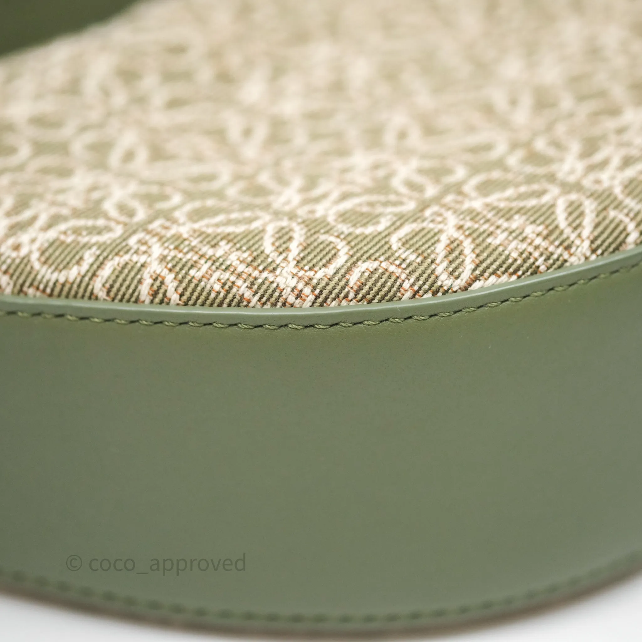Loewe Small Luna Anagram Shoulder Bag Green Calfskin Jacquard