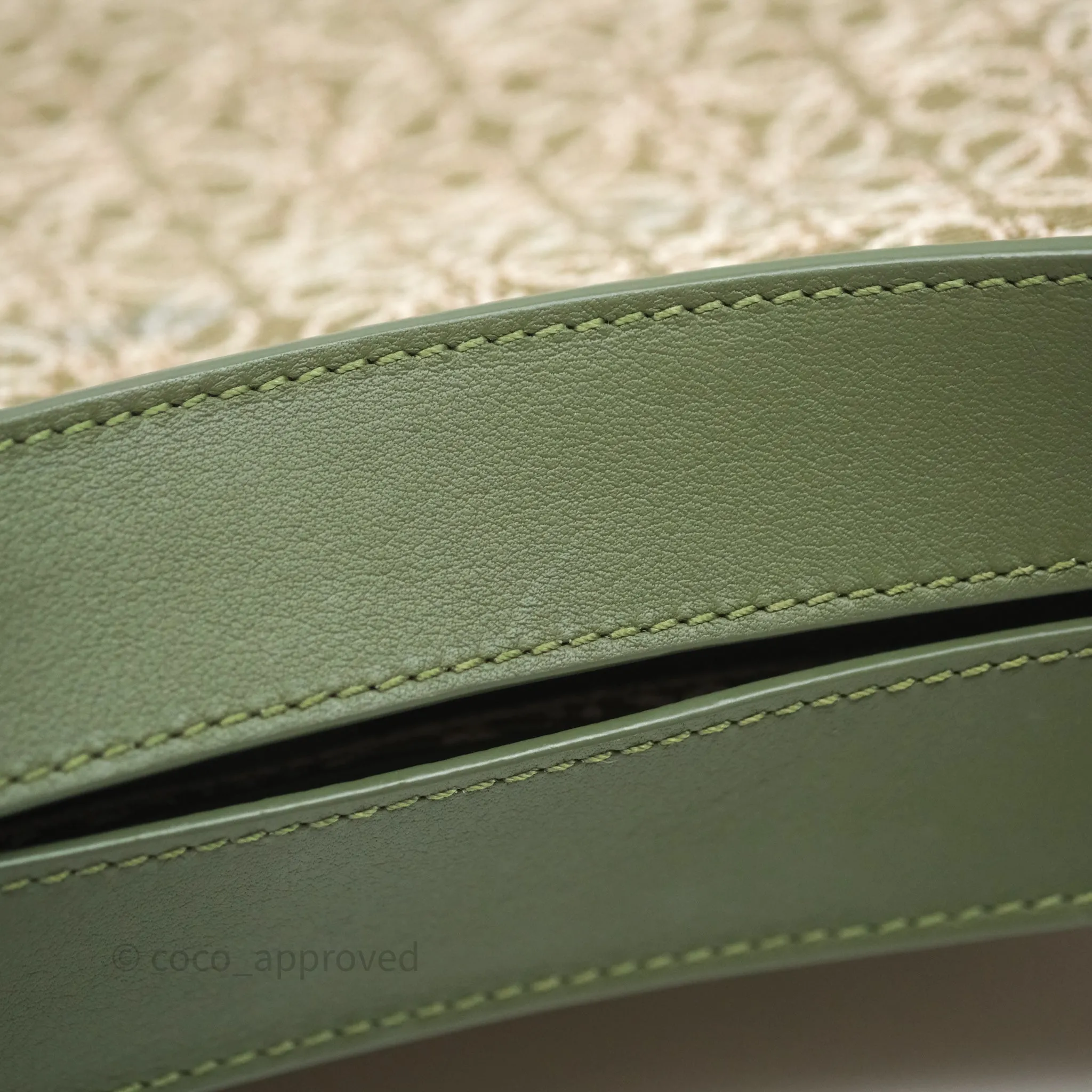 Loewe Small Luna Anagram Shoulder Bag Green Calfskin Jacquard