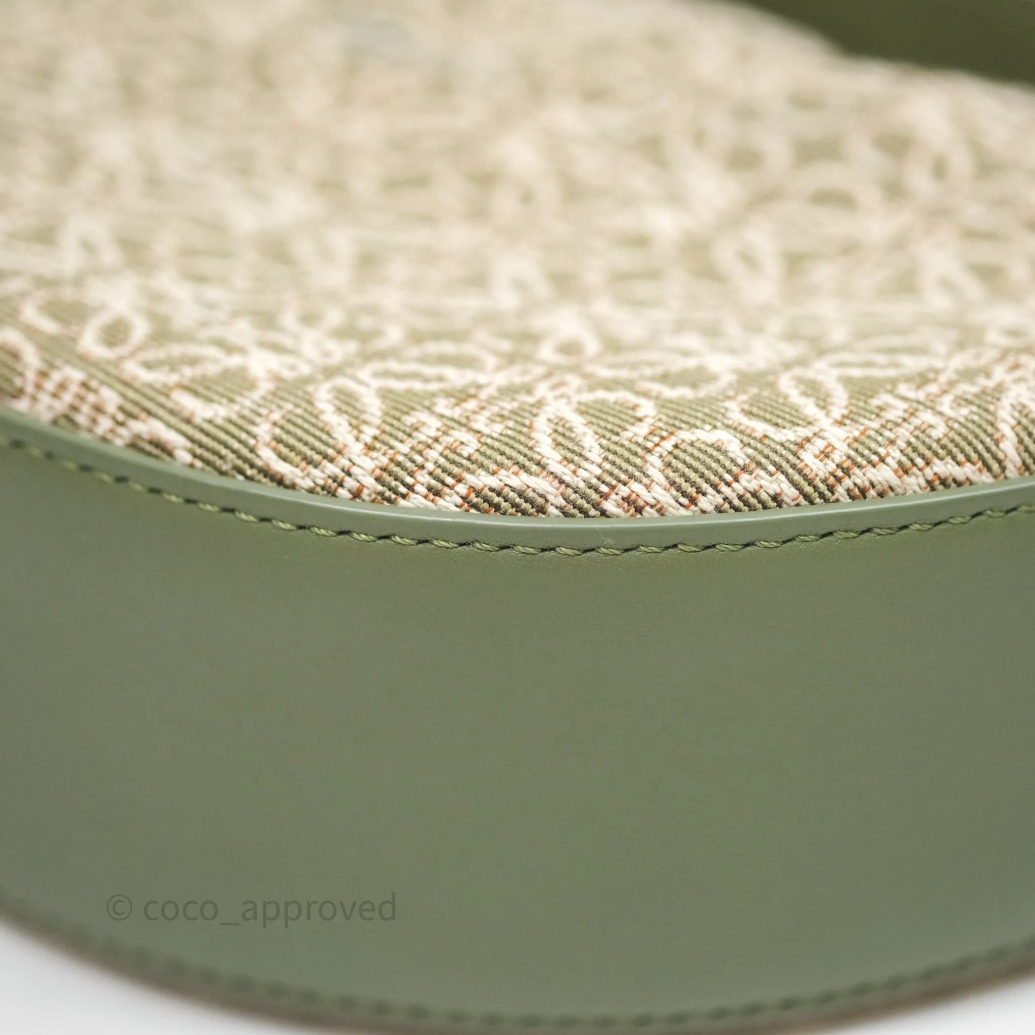 Loewe Small Luna Anagram Shoulder Bag Green Calfskin Jacquard
