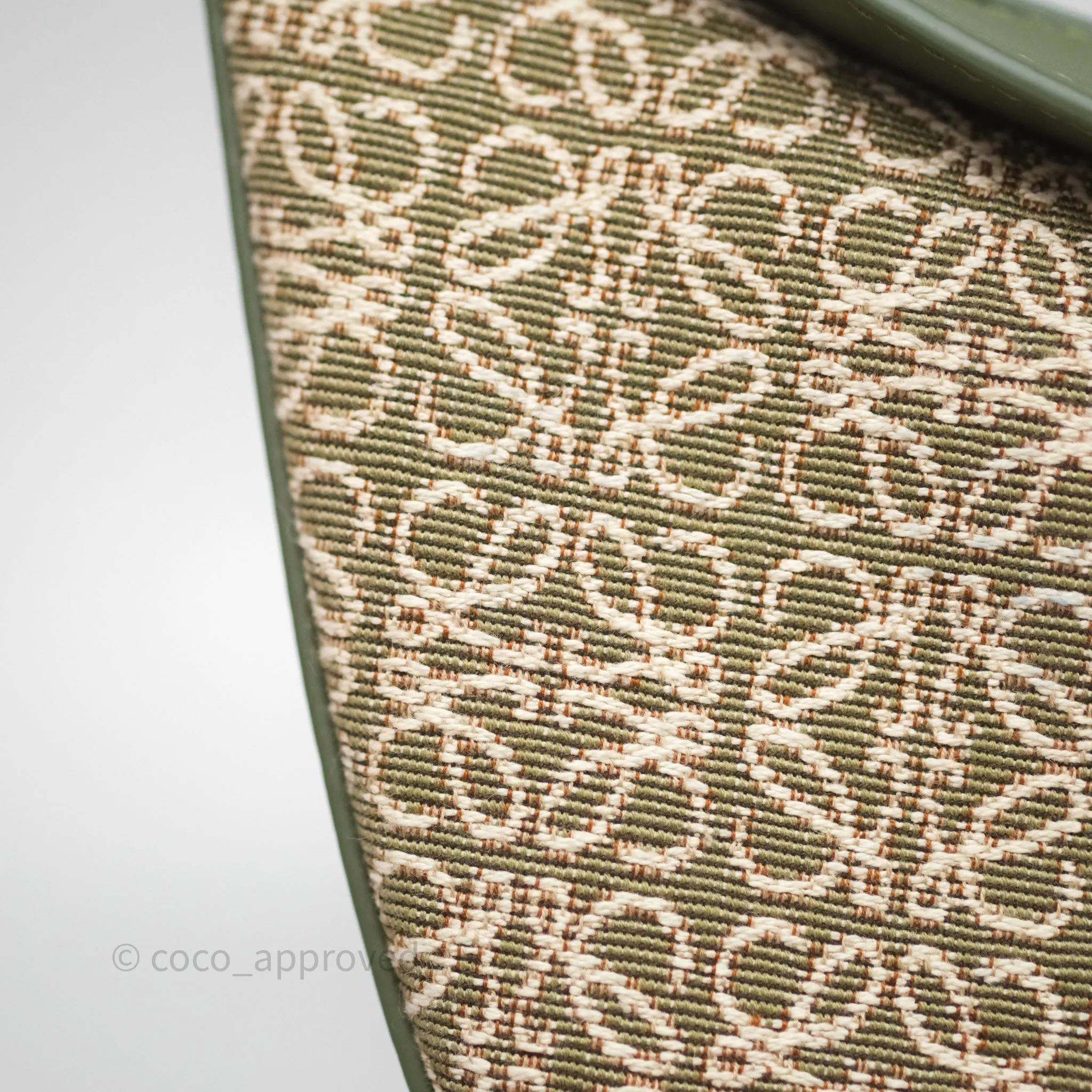 Loewe Small Luna Anagram Shoulder Bag Green Calfskin Jacquard