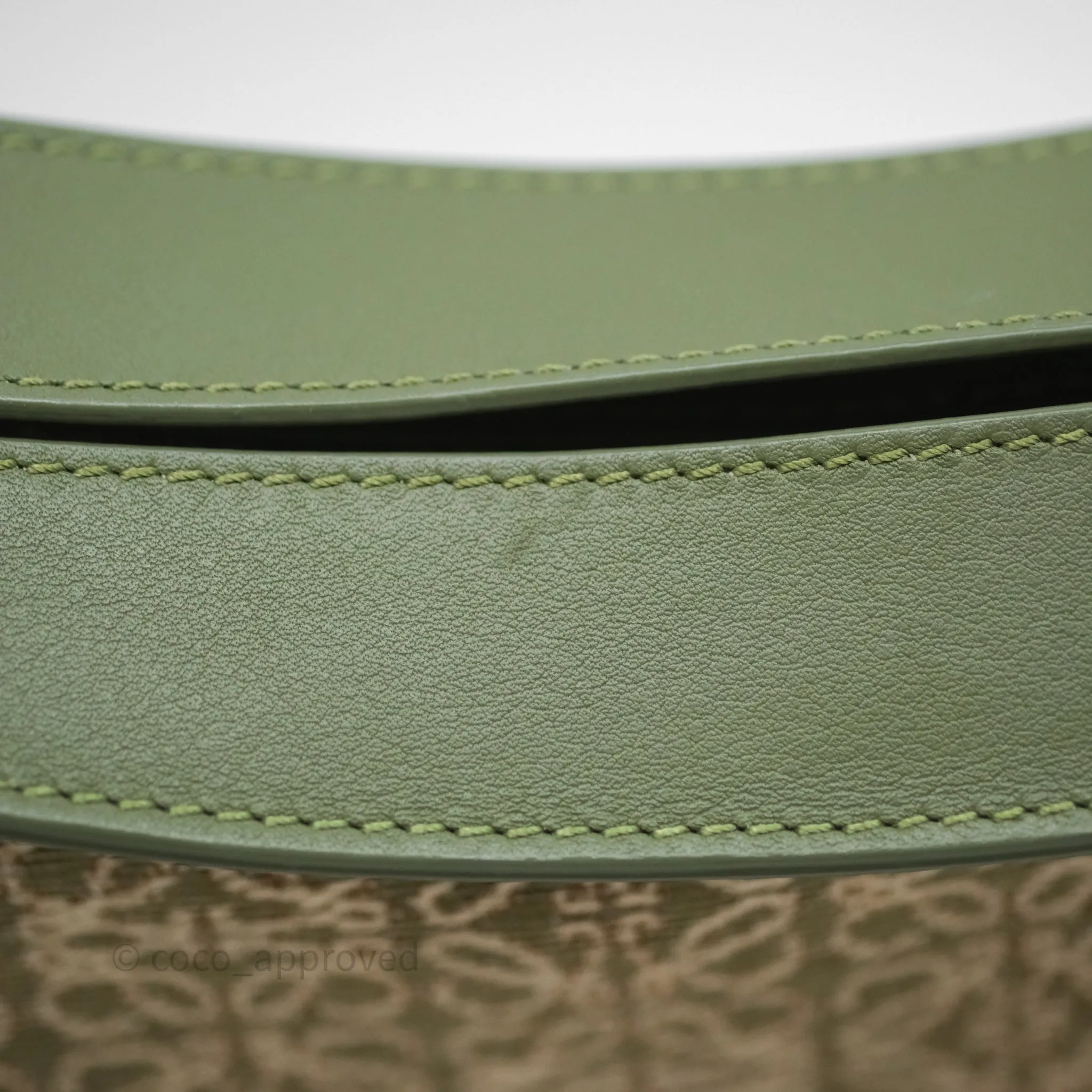 Loewe Small Luna Anagram Shoulder Bag Green Calfskin Jacquard