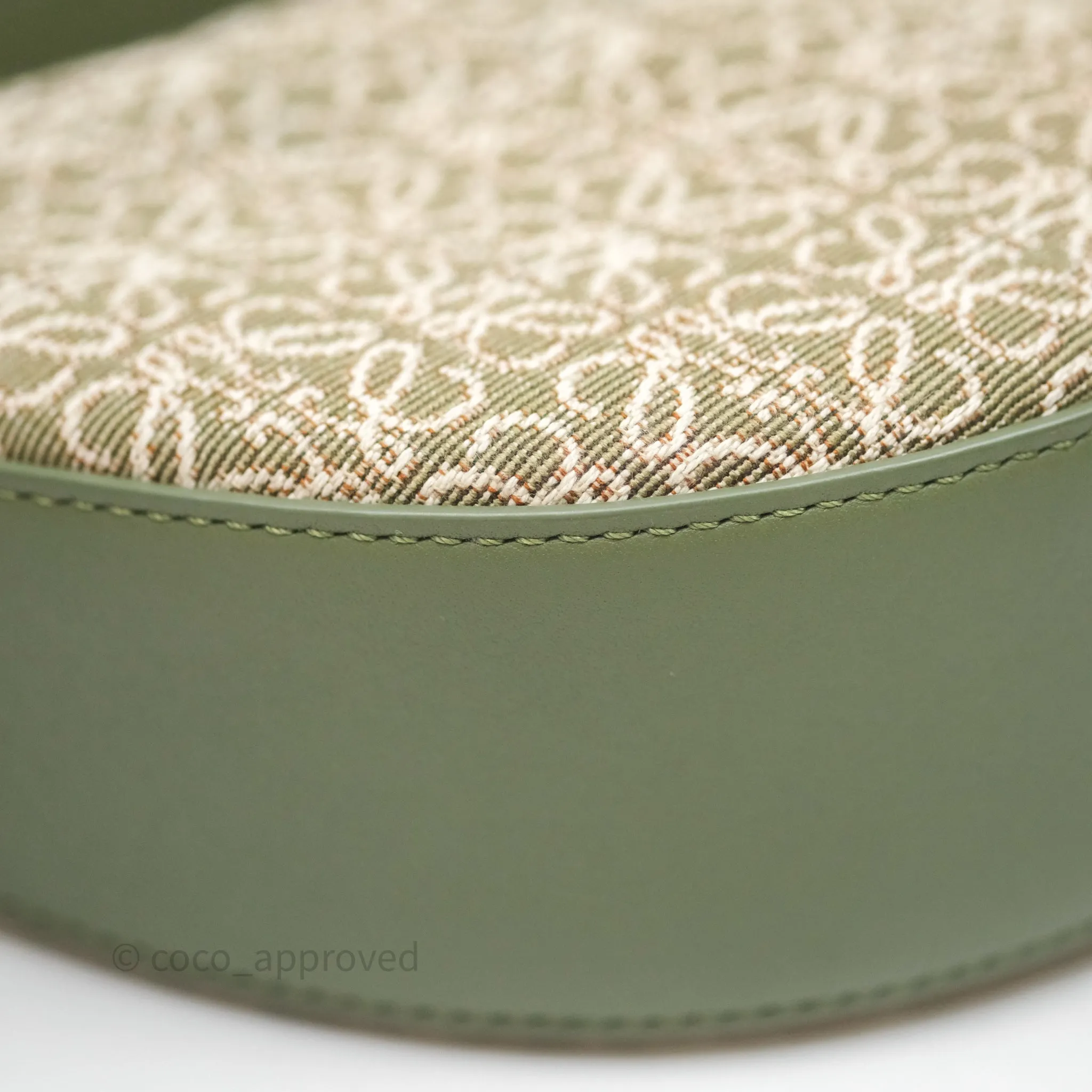 Loewe Small Luna Anagram Shoulder Bag Green Calfskin Jacquard