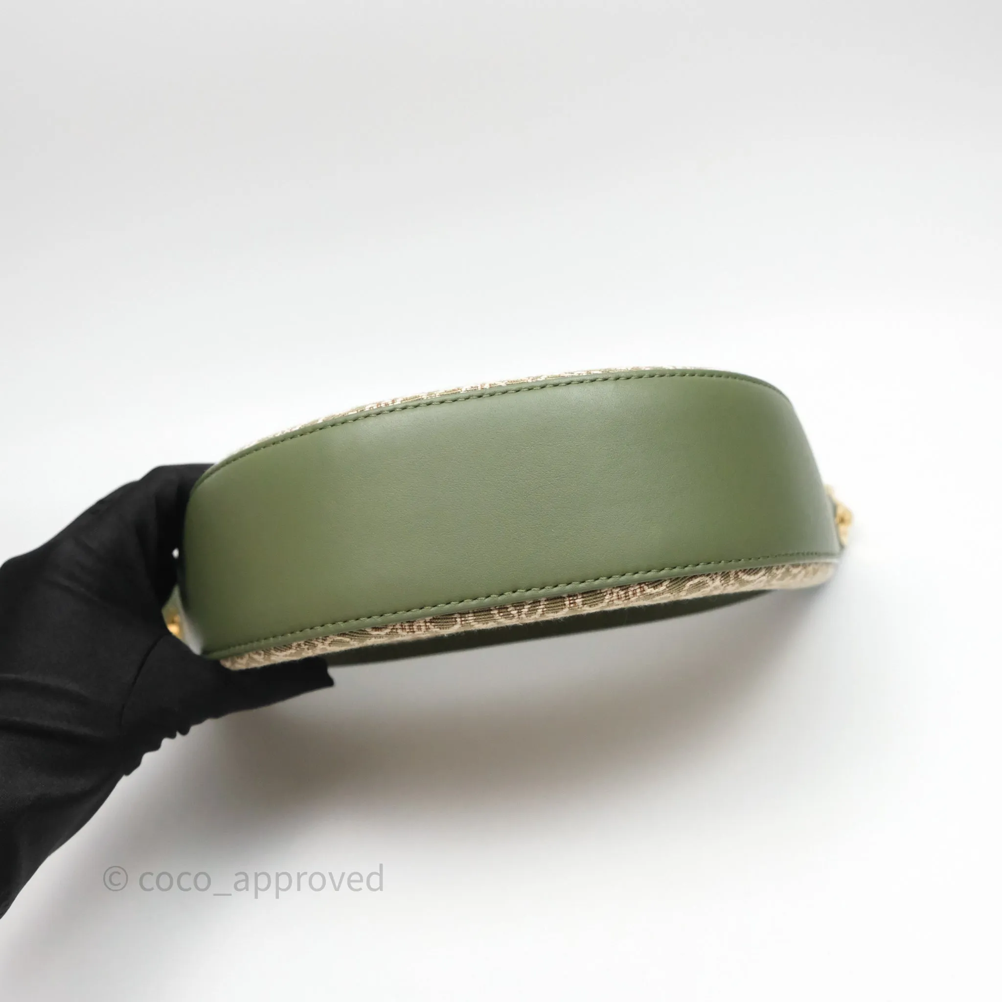 Loewe Small Luna Anagram Shoulder Bag Green Calfskin Jacquard