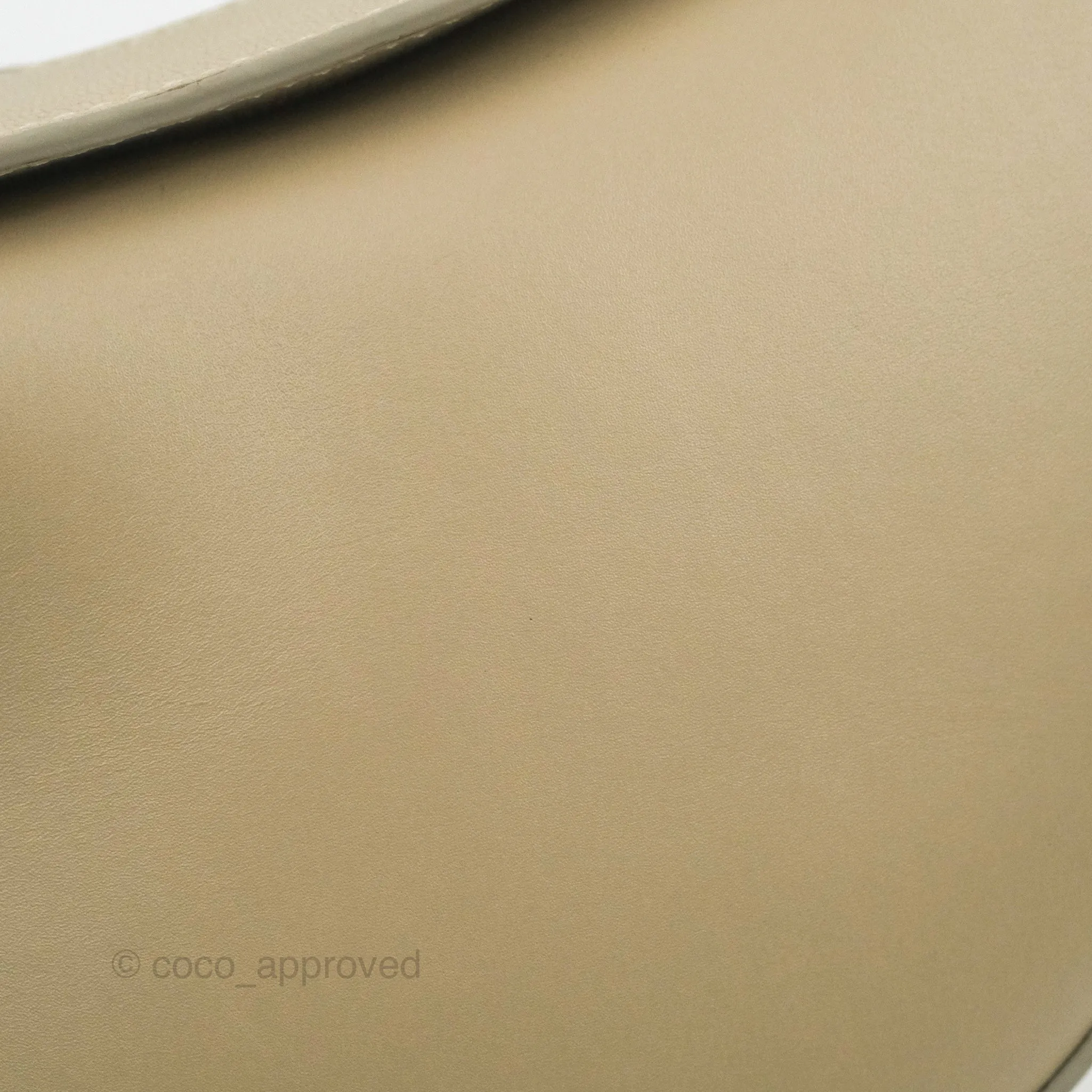 Loewe Small Luna Shoulder Bag Light Oat Calfskin