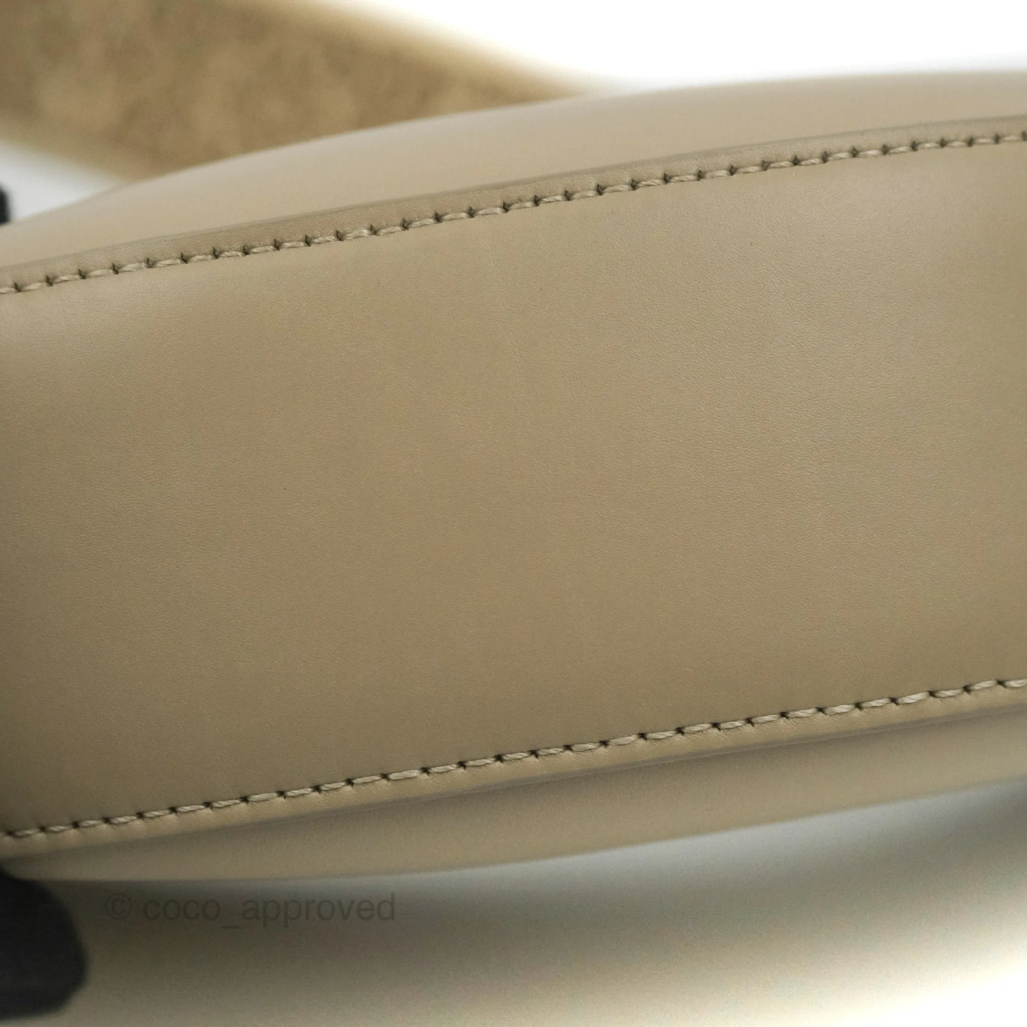 Loewe Small Luna Shoulder Bag Light Oat Calfskin