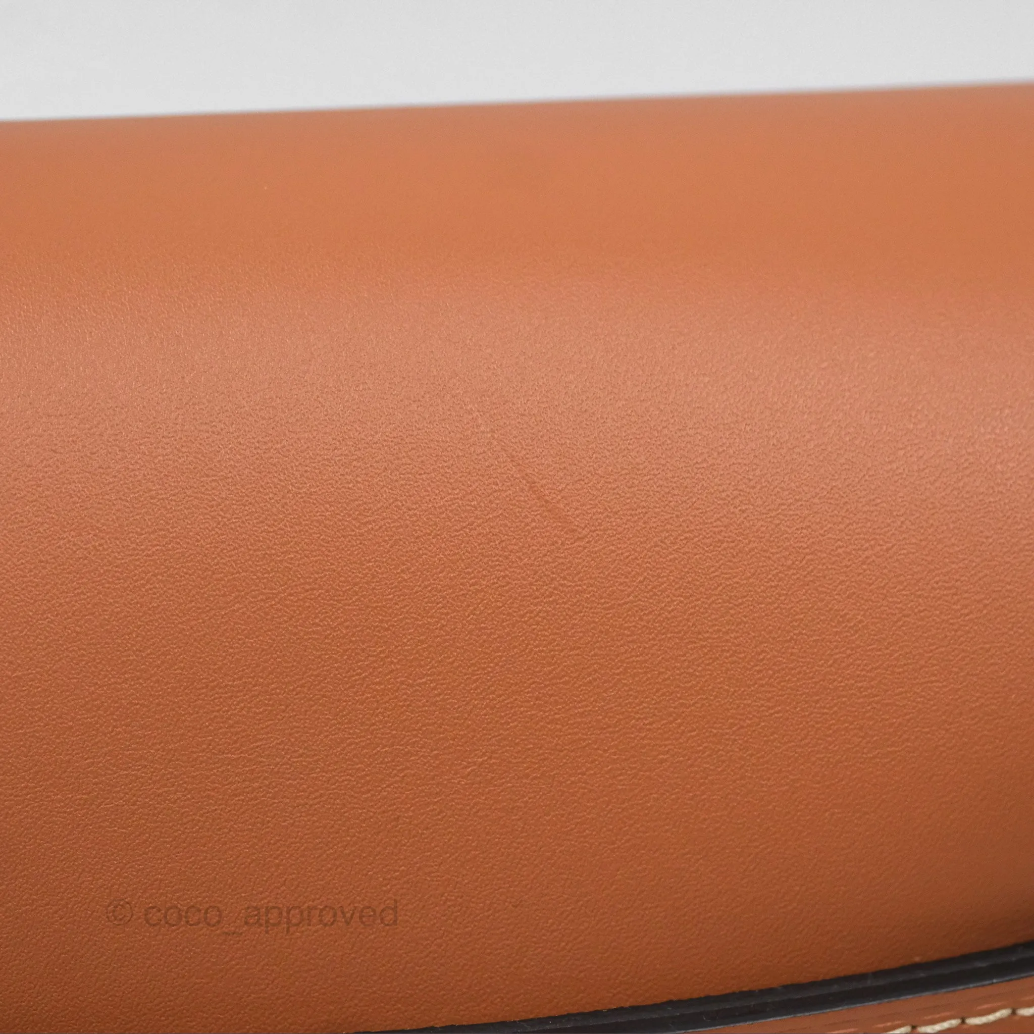 Loewe Small Raffia Gate Bag Smooth Calfskin in Tan