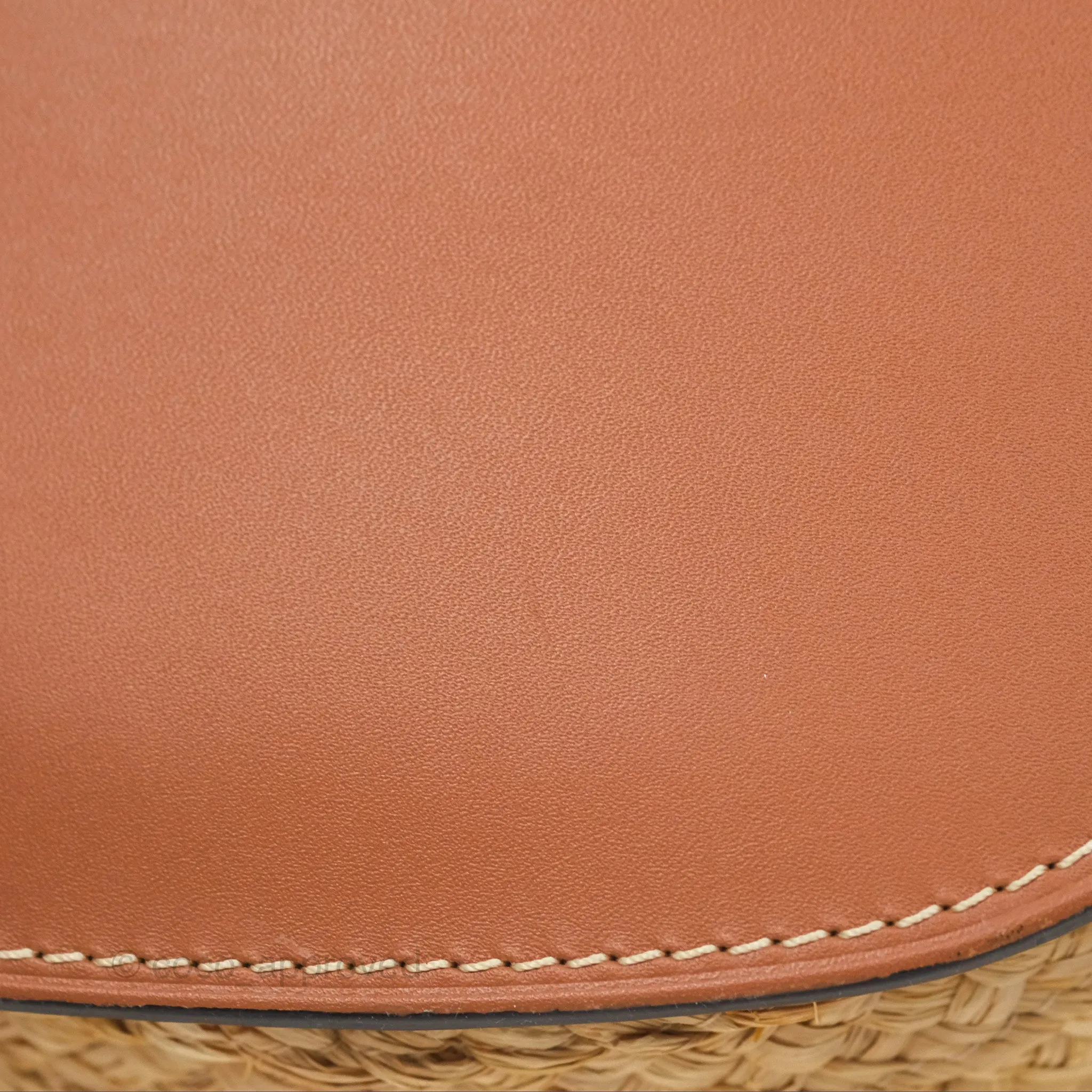 Loewe Small Raffia Gate Bag Smooth Calfskin in Tan