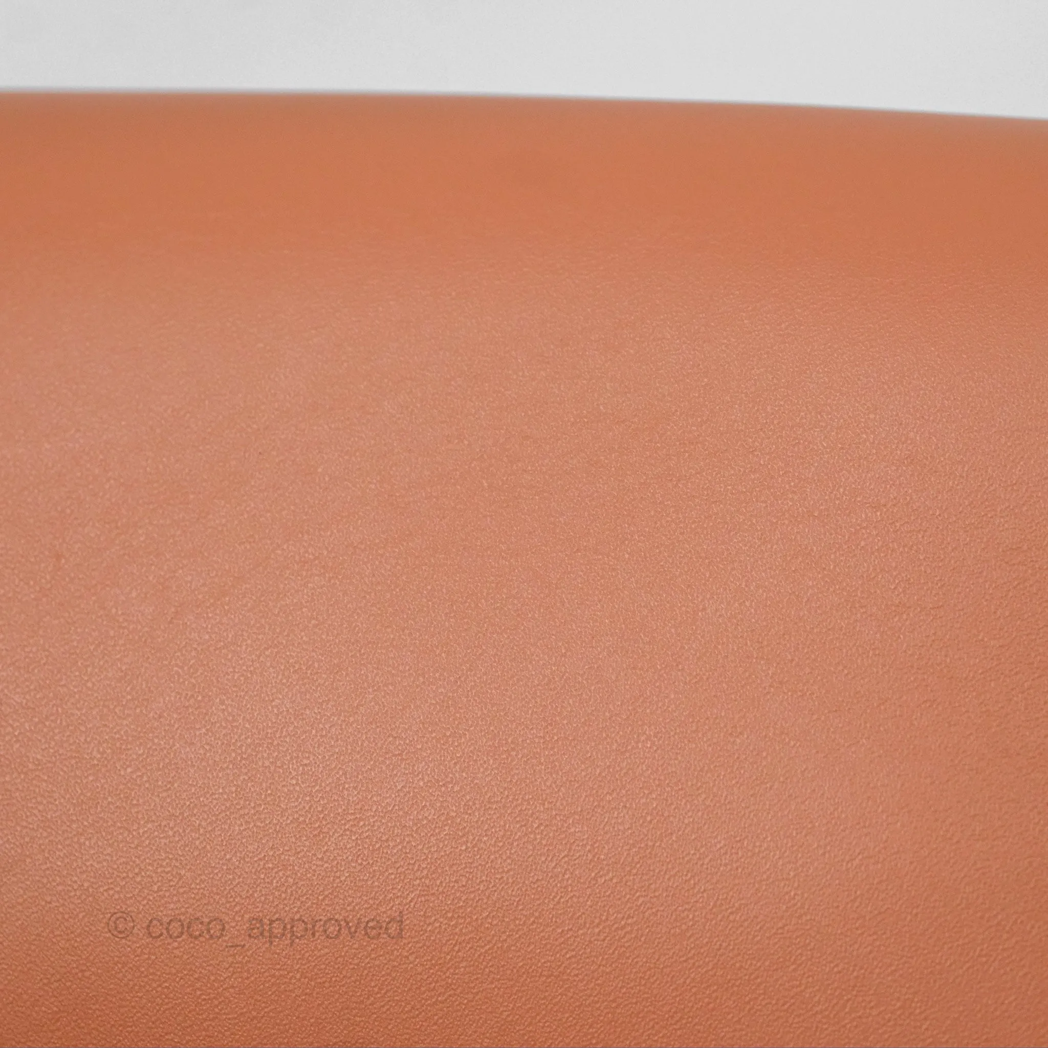 Loewe Small Raffia Gate Bag Smooth Calfskin in Tan