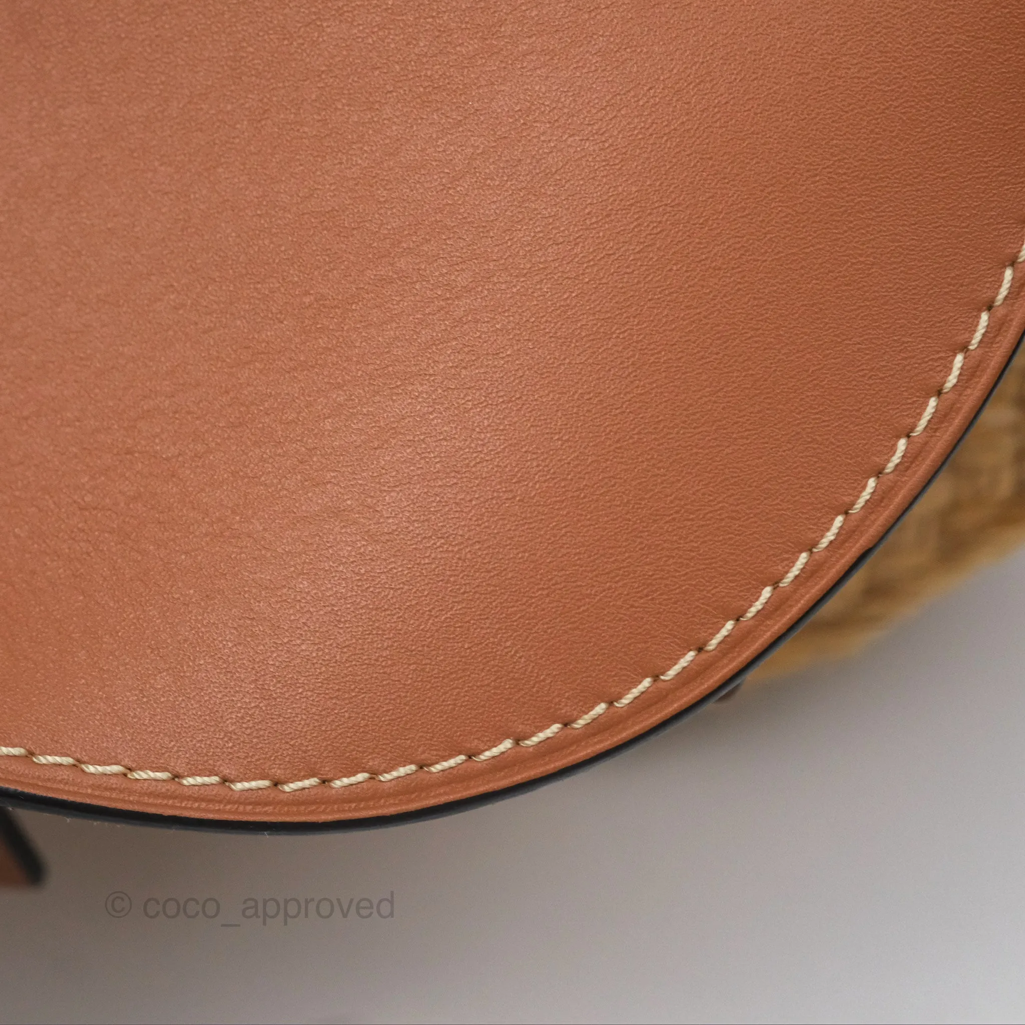 Loewe Small Raffia Gate Bag Smooth Calfskin in Tan