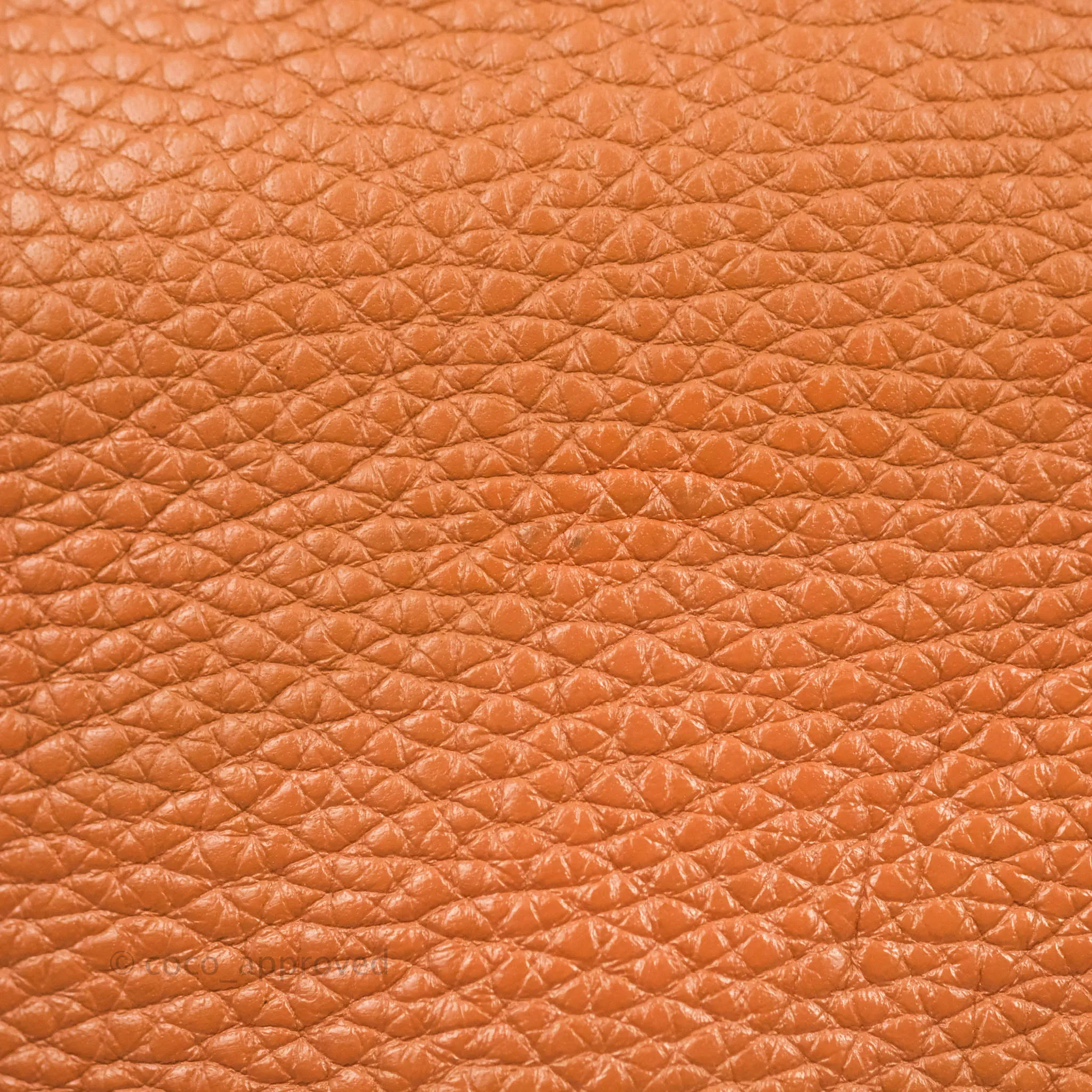 Loewe Vertical Strap Tote Tan Grained Leather