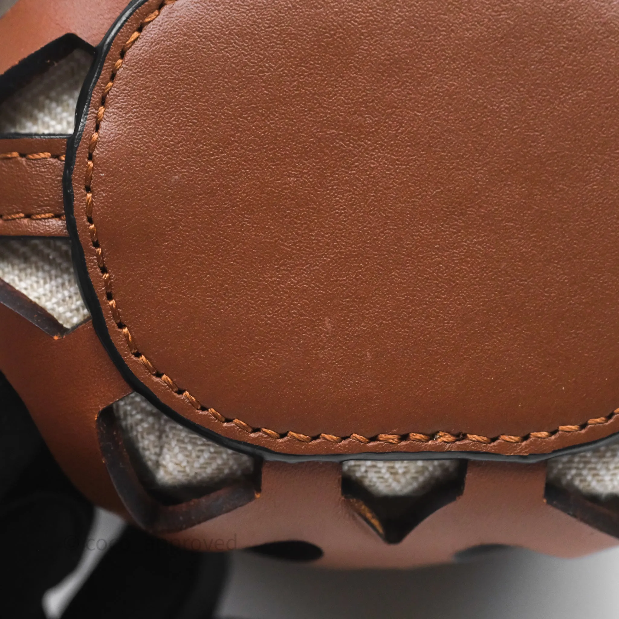 Loewe X Paula's Ibiza Cutout Anagram Pocket Tan