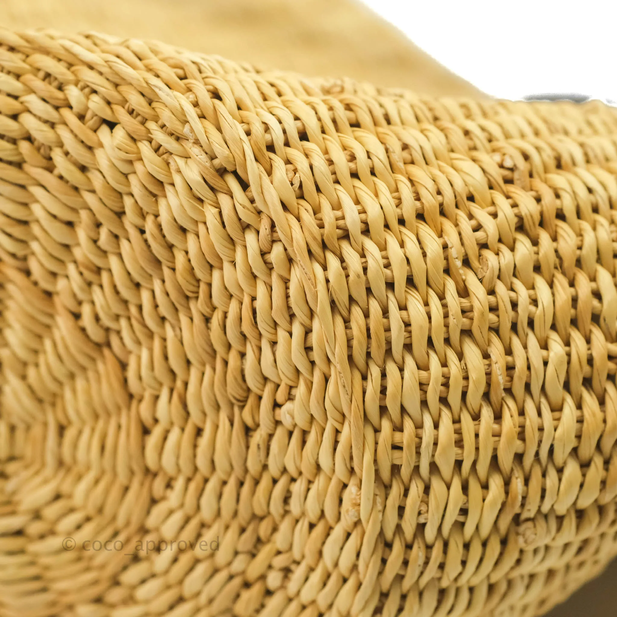 Loewe x Paula's Ibiza Raffia Shell Basket Bag