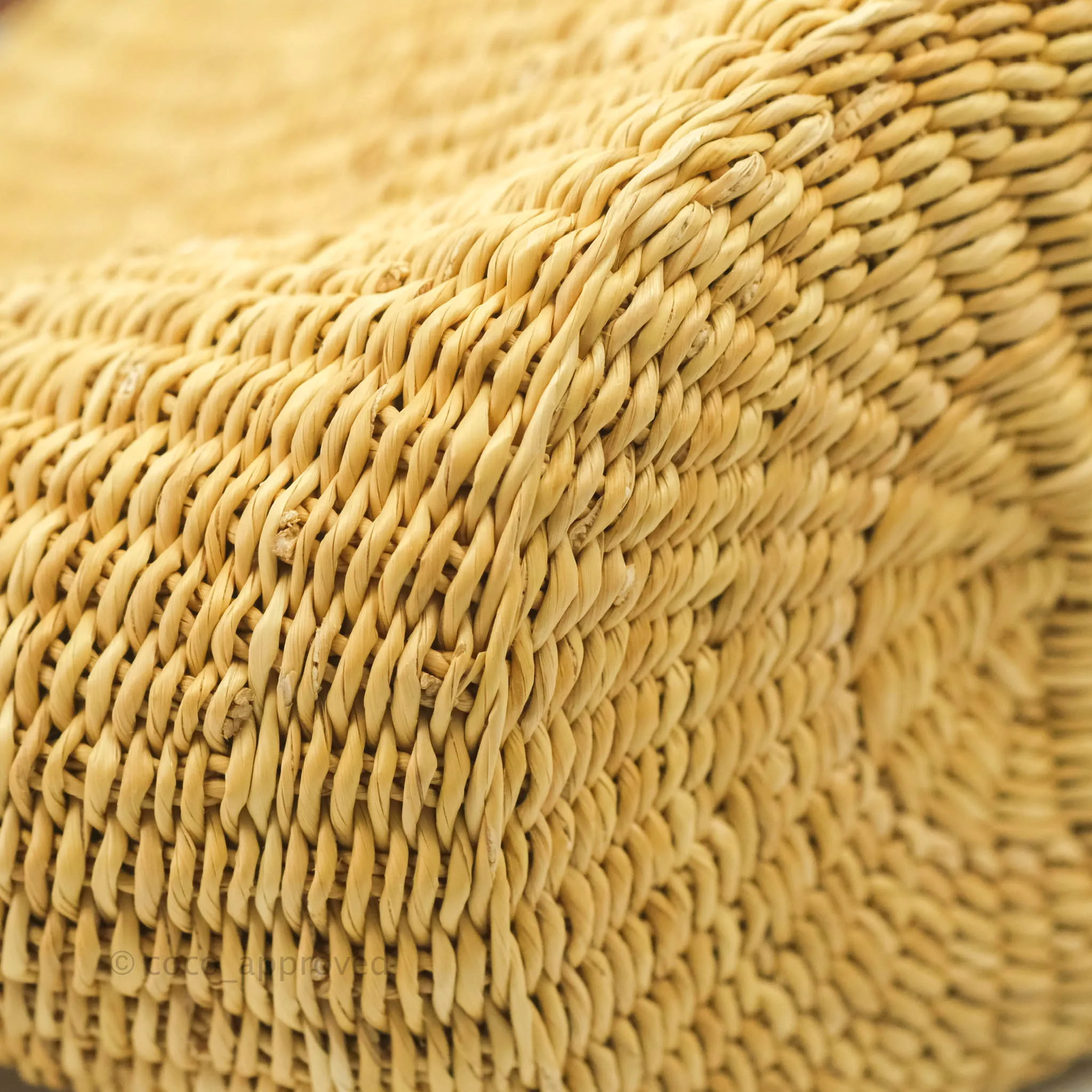 Loewe x Paula's Ibiza Raffia Shell Basket Bag