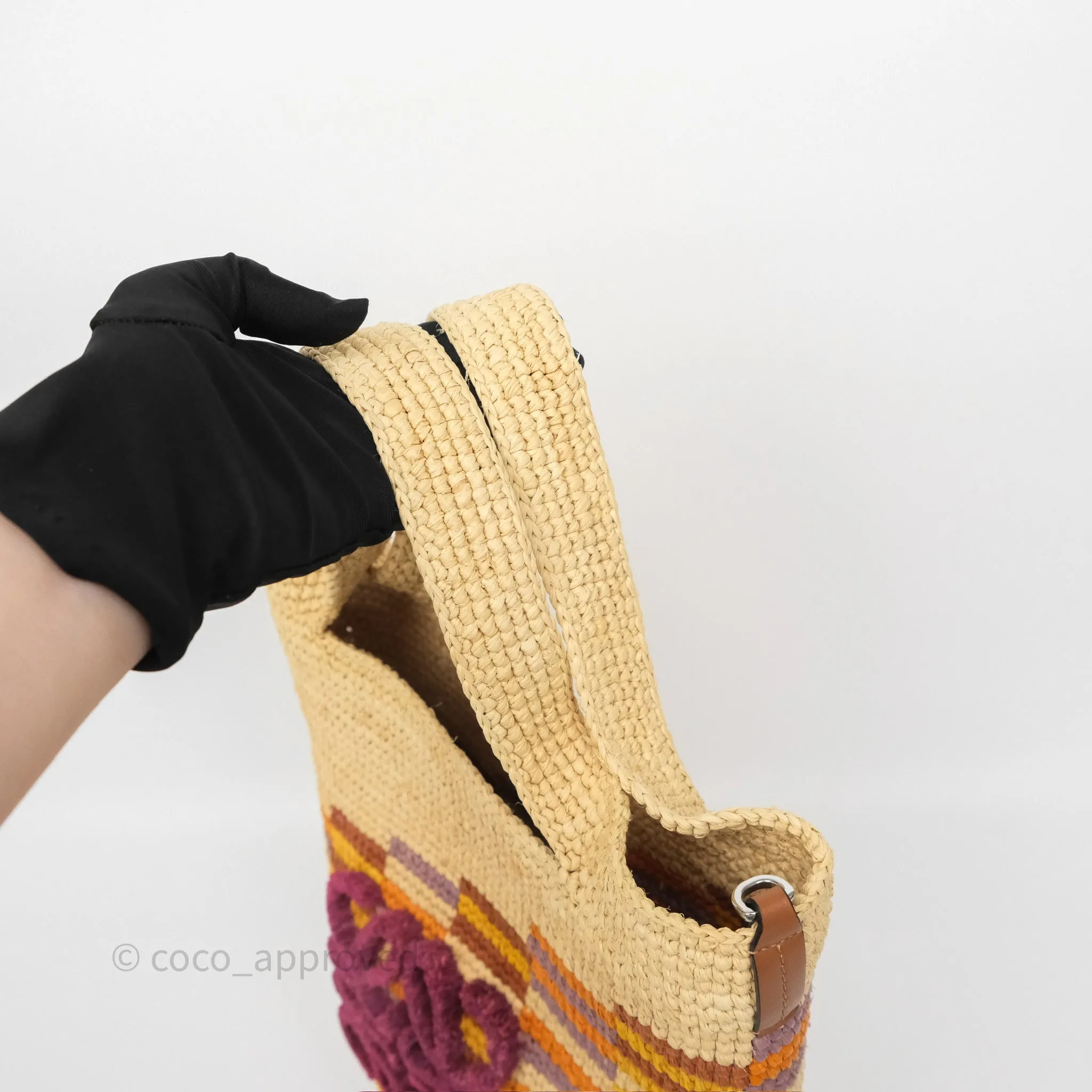 Loewe x Paula's Ibiza Slit Mini Rainbow Raffia Bag