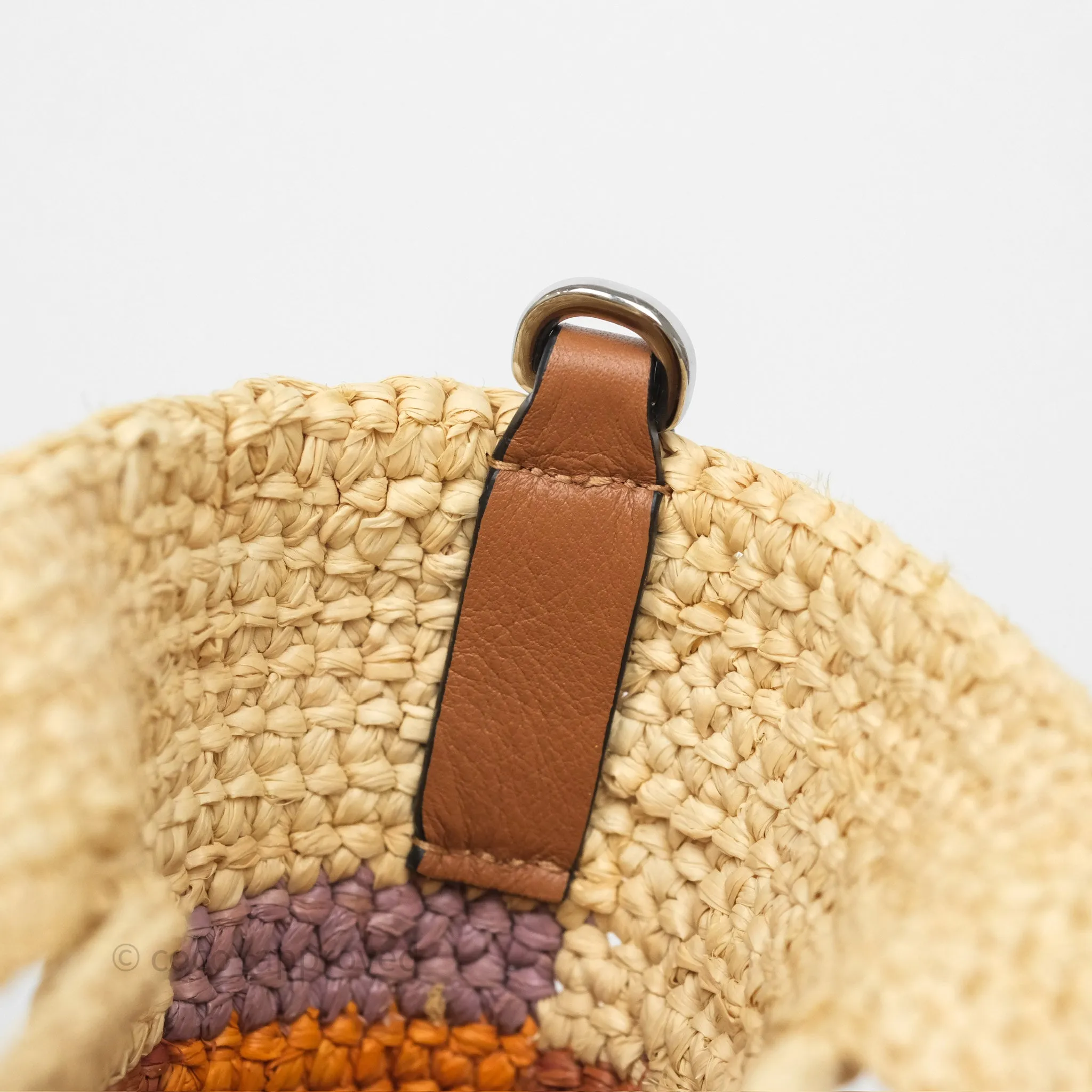 Loewe x Paula's Ibiza Slit Mini Rainbow Raffia Bag