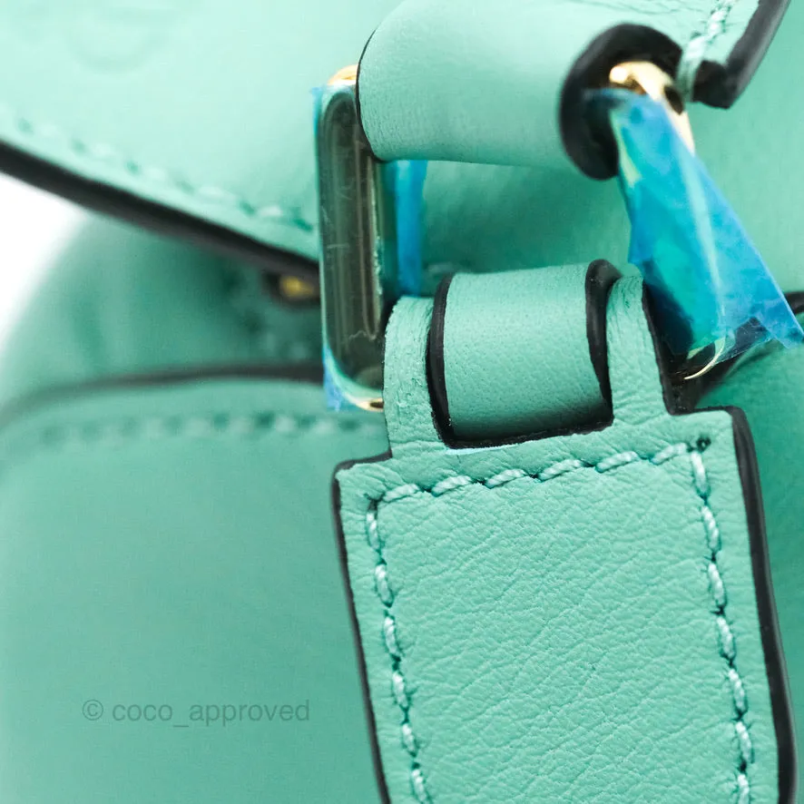Loewe x Spirited Away Mini Puzzle Mint Calfskin