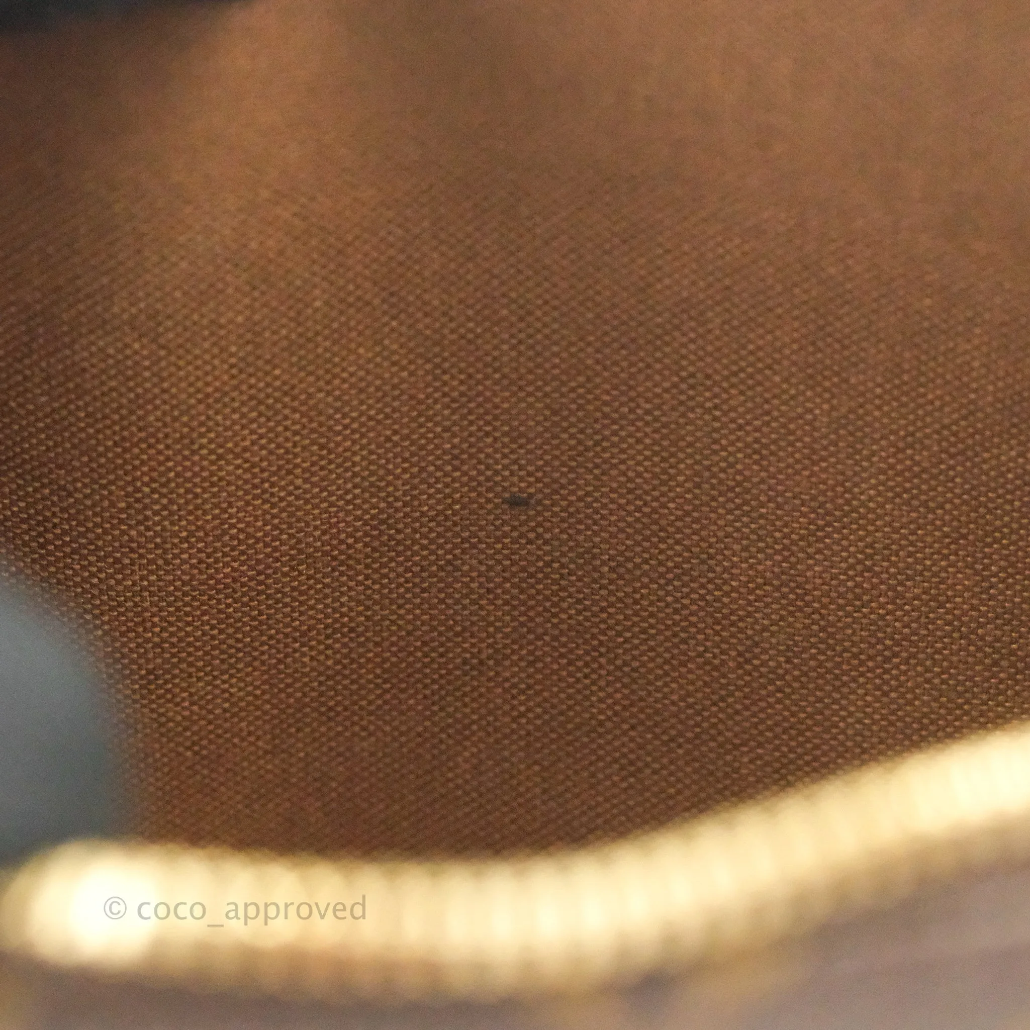 Louis Vuitton Alma BB Monogram Canvas