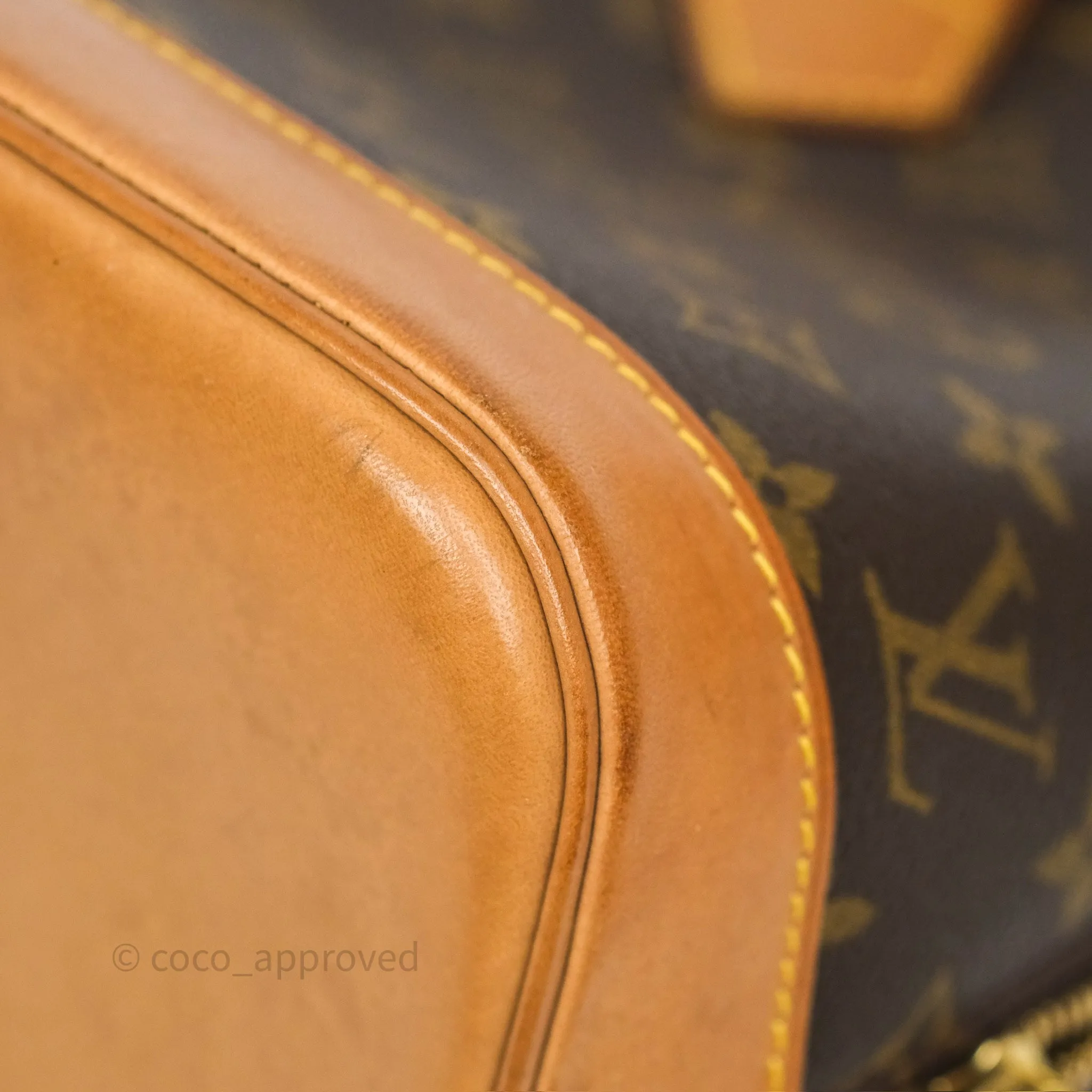 Louis Vuitton Alma PM Monogram