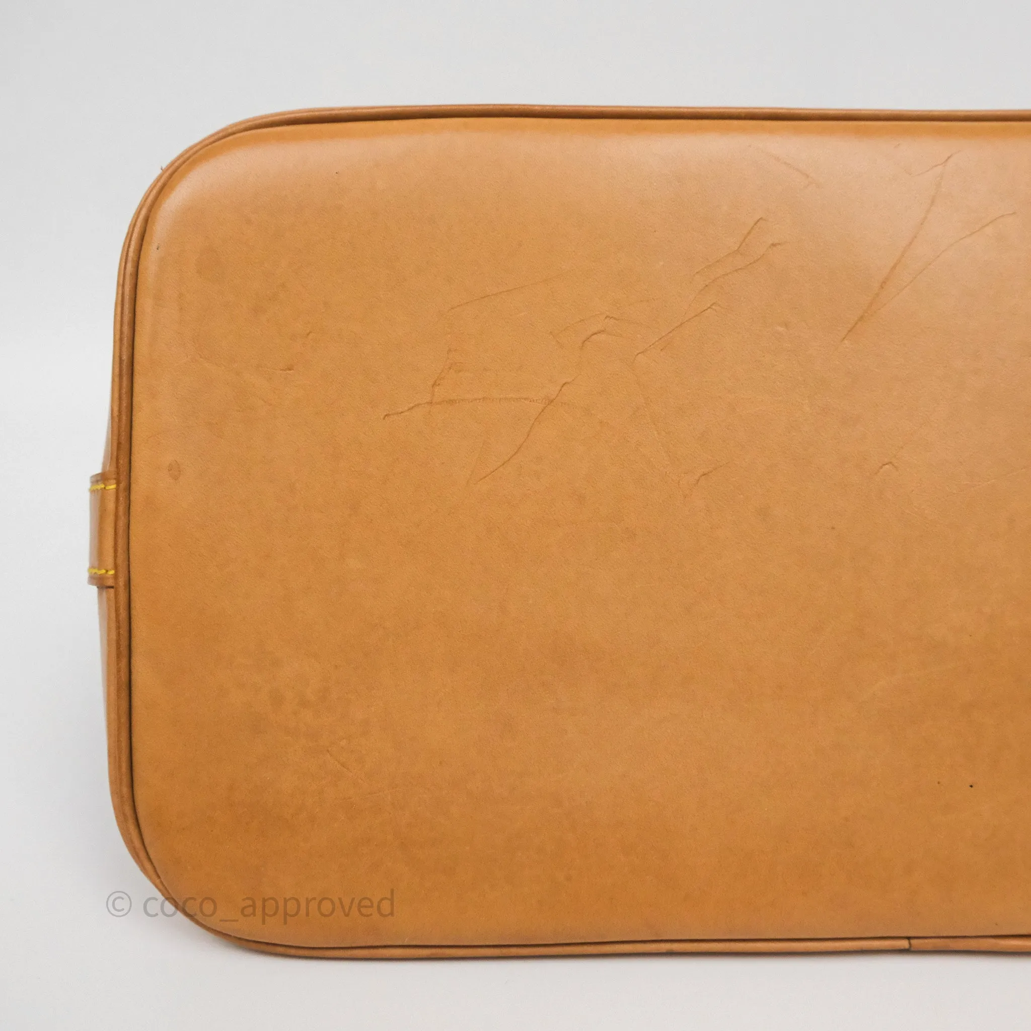 Louis Vuitton Alma PM Monogram