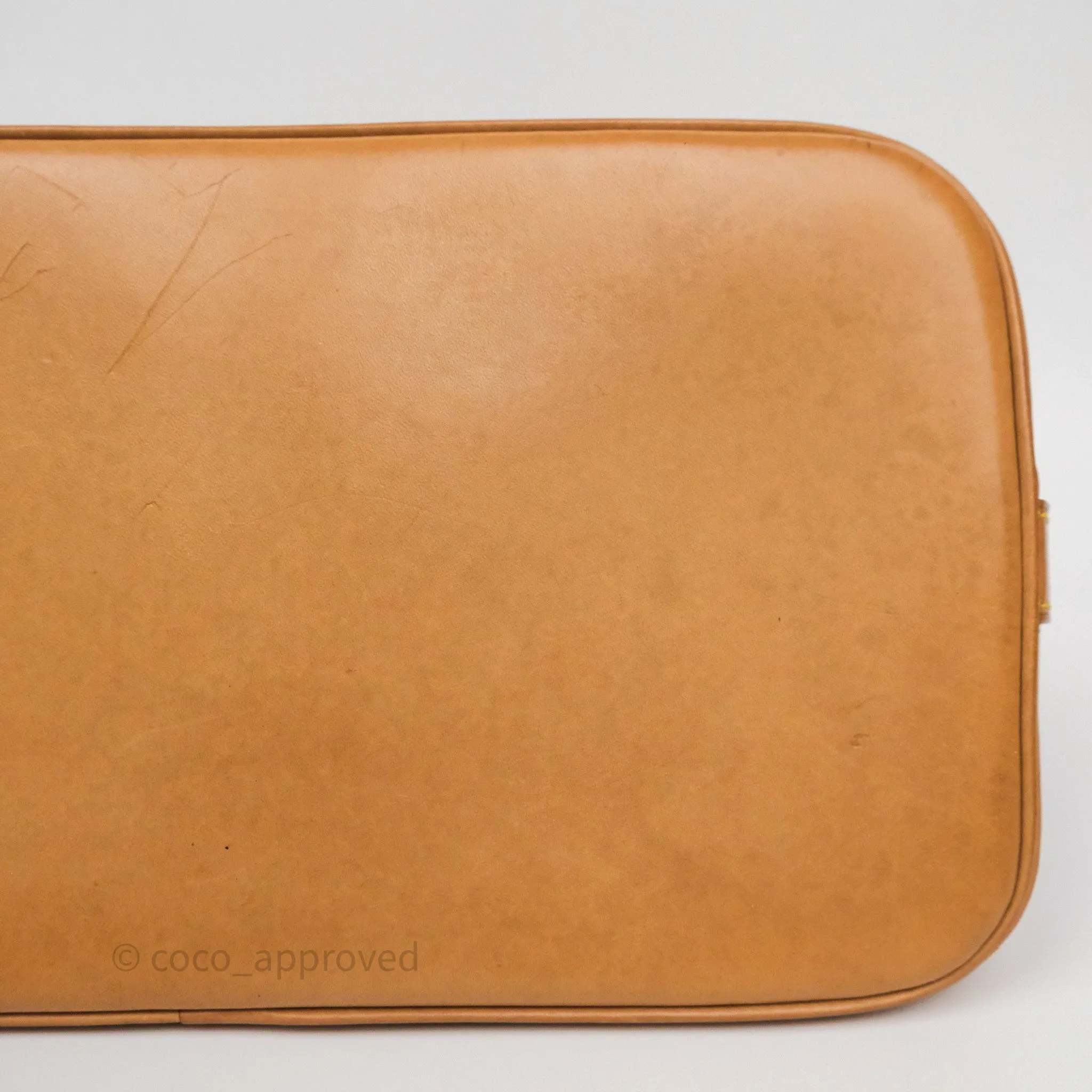 Louis Vuitton Alma PM Monogram