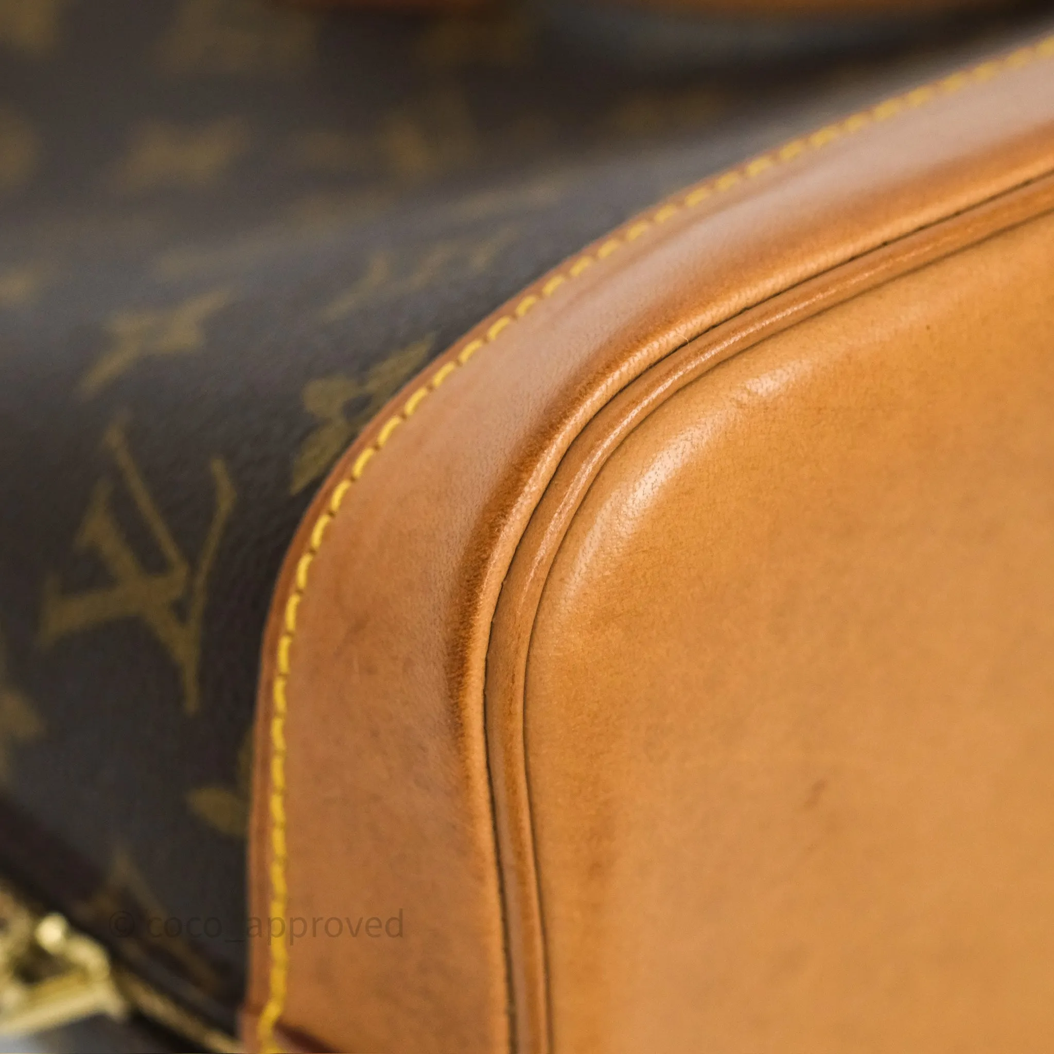 Louis Vuitton Alma PM Monogram