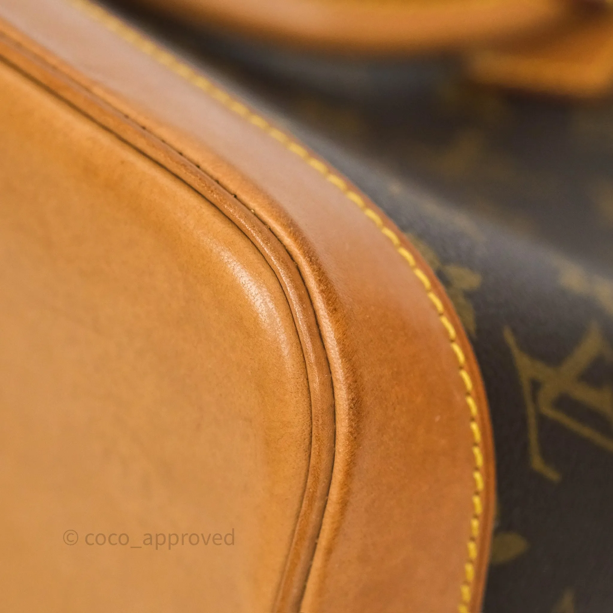 Louis Vuitton Alma PM Monogram
