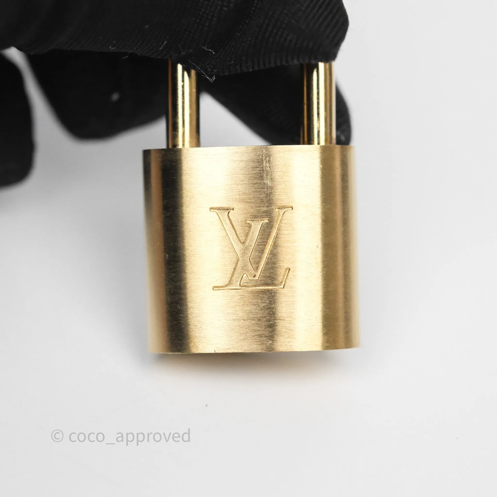 Louis Vuitton Alma PM Monogram