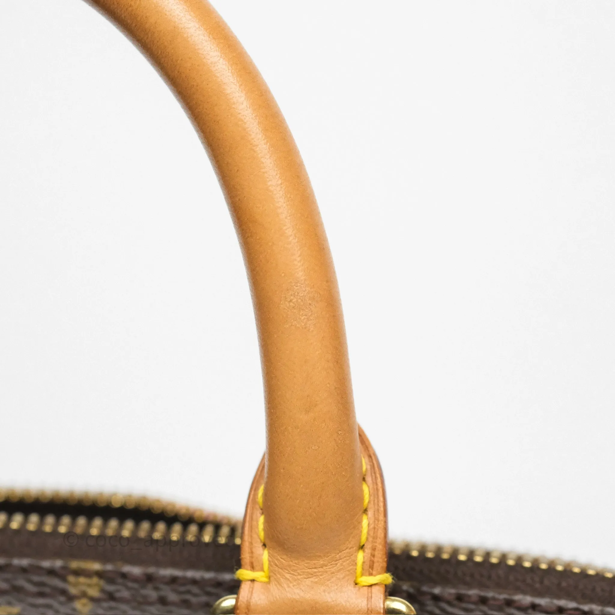 Louis Vuitton Alma PM Monogram