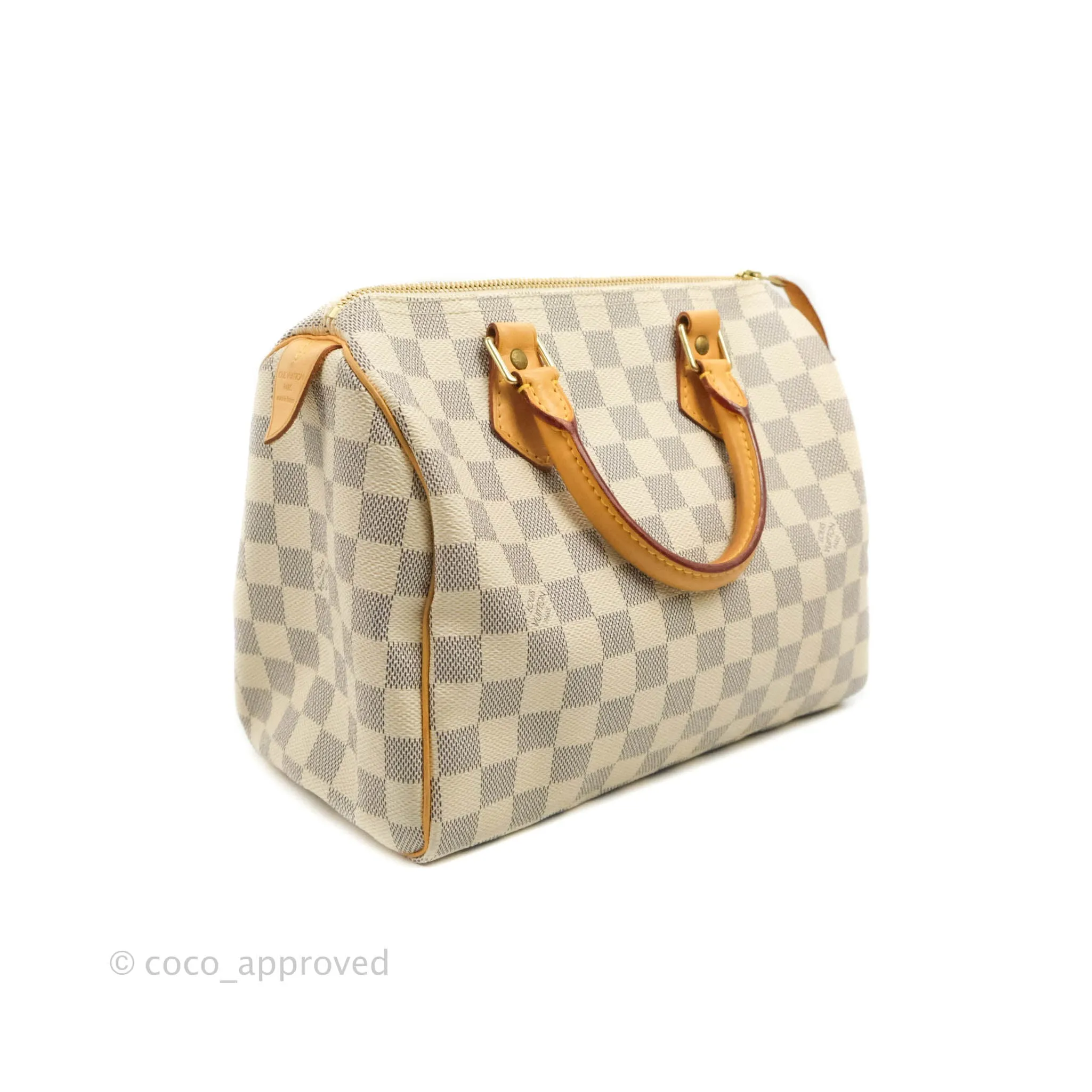 Louis Vuitton Canvas Speedy 25 Damier Azur