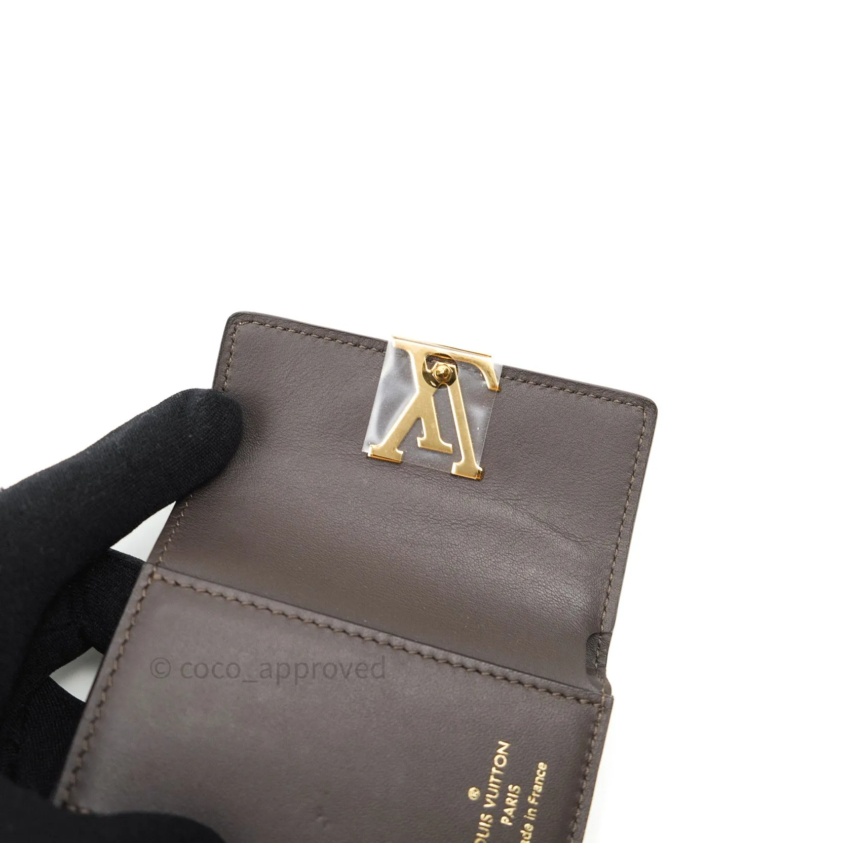 Louis Vuitton Capucines Mini Wallet