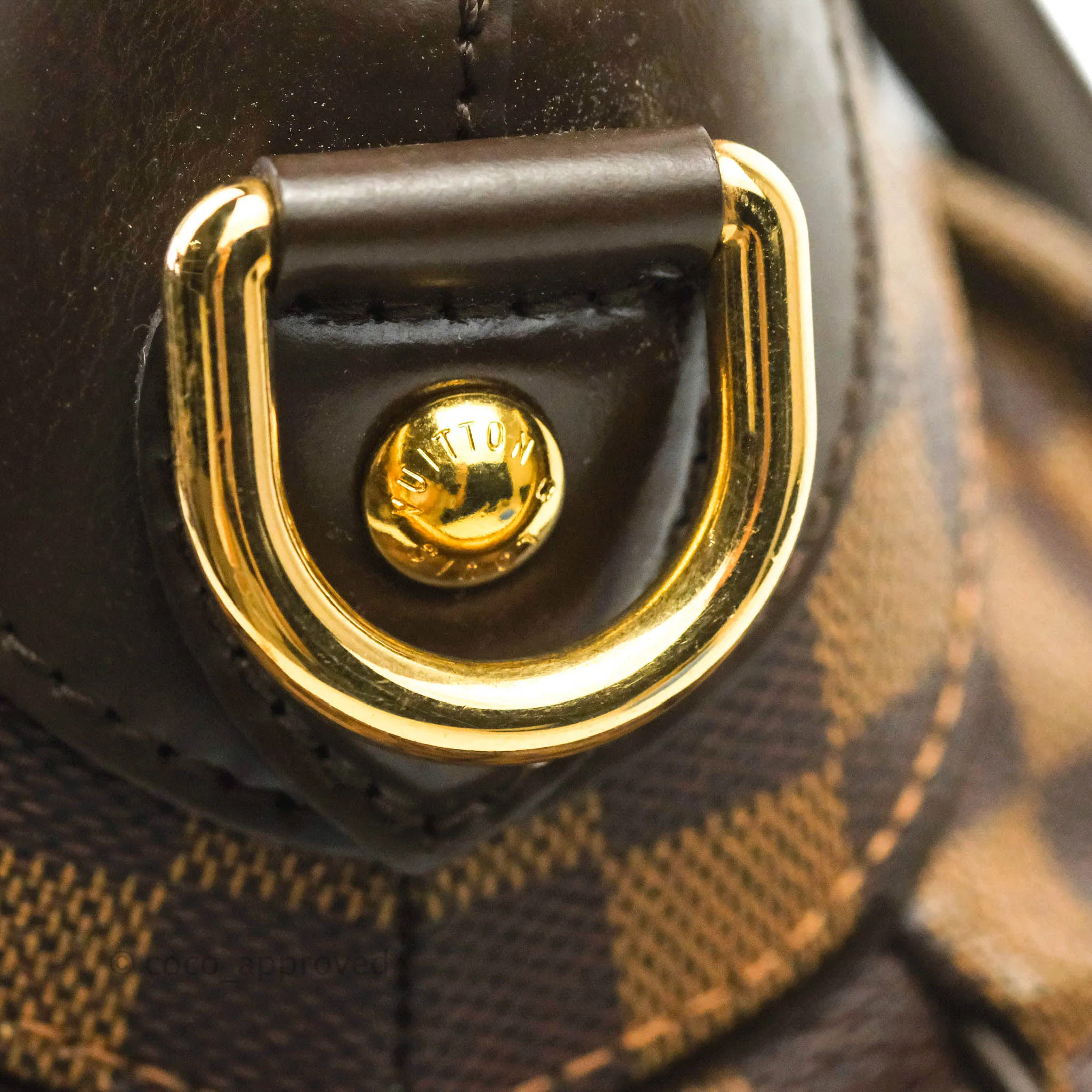 Louis Vuitton Damier Ebene Trevi GM