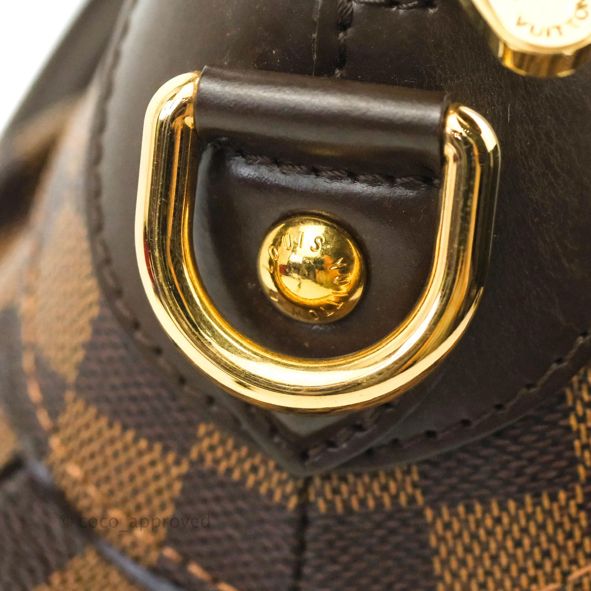 Louis Vuitton Damier Ebene Trevi GM