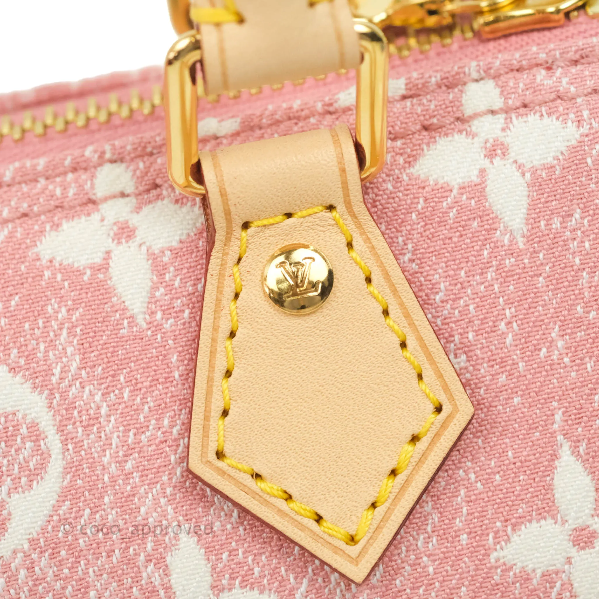 Louis Vuitton Denim Nano Speedy