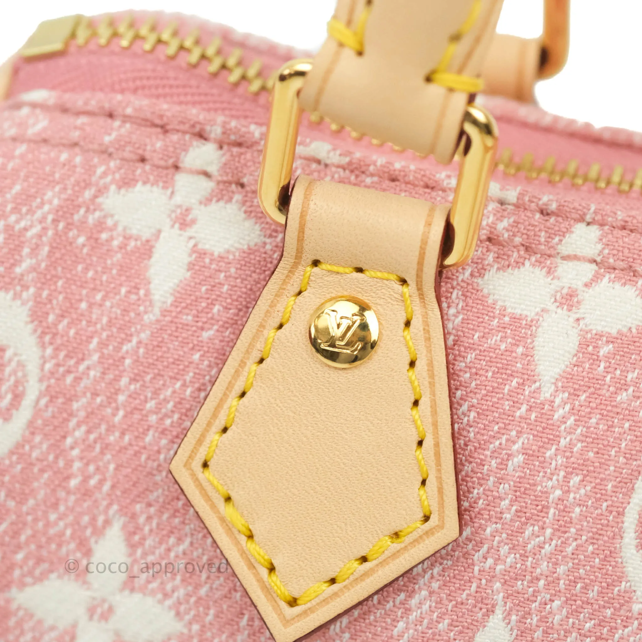 Louis Vuitton Denim Nano Speedy