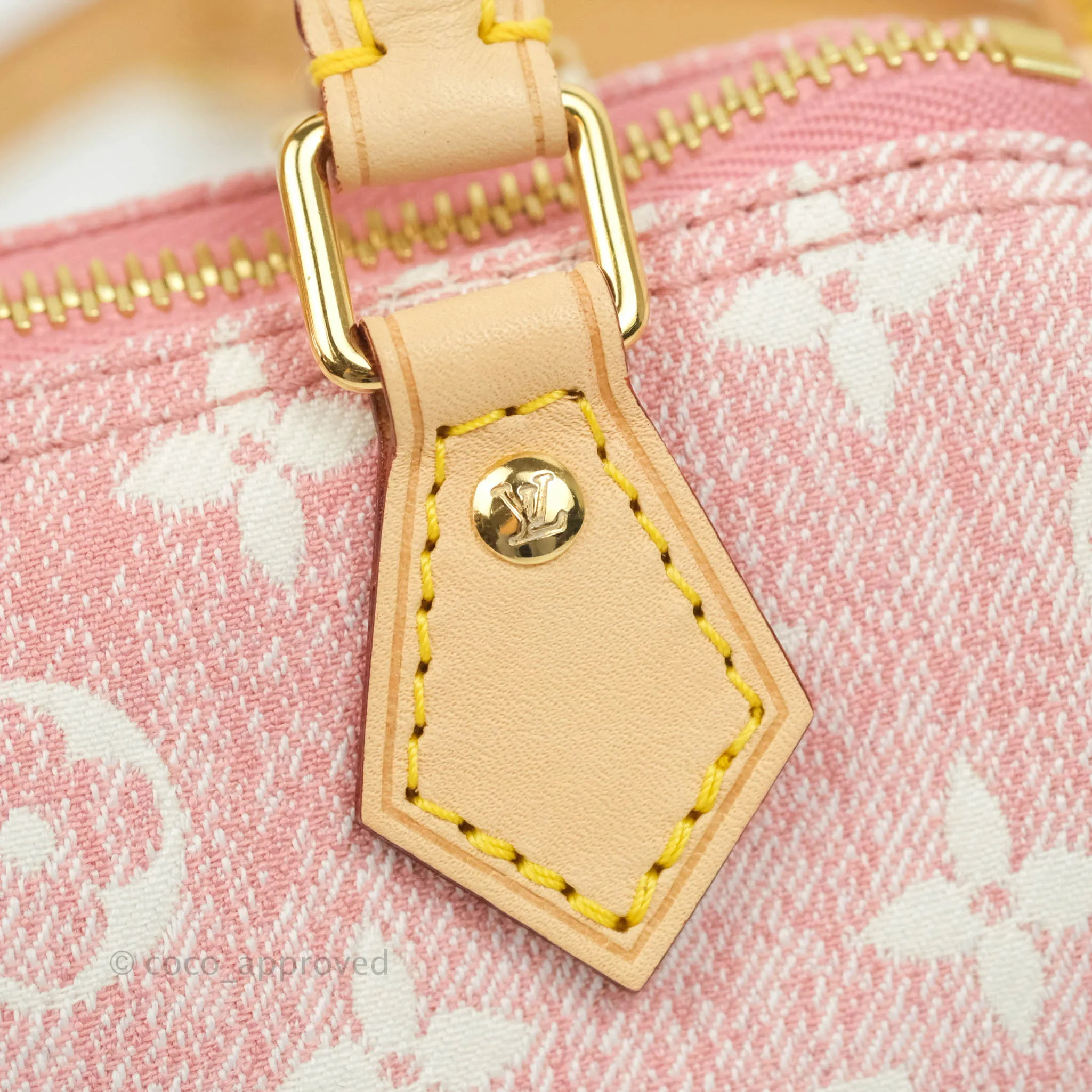 Louis Vuitton Denim Nano Speedy