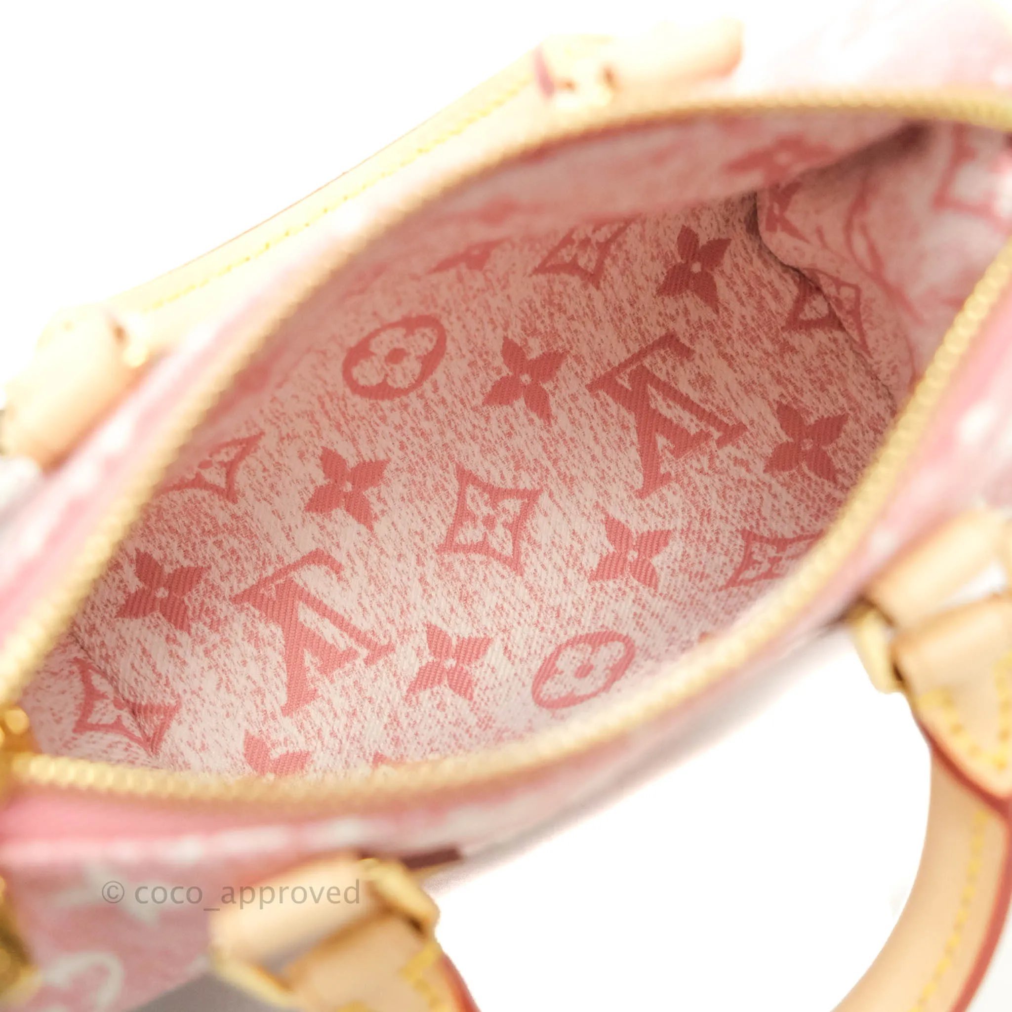 Louis Vuitton Denim Nano Speedy